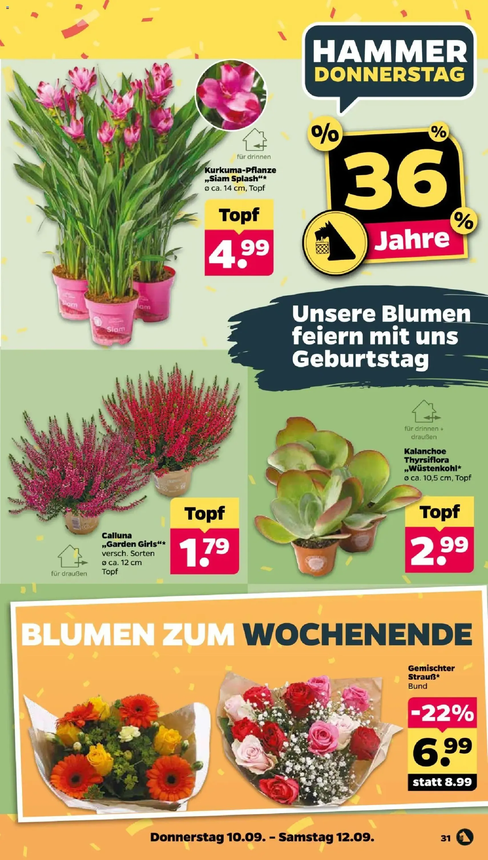Netto Prospekt - Gültiger Prospekt ab 07.09.2026, Seite 35 von insgesamt 45