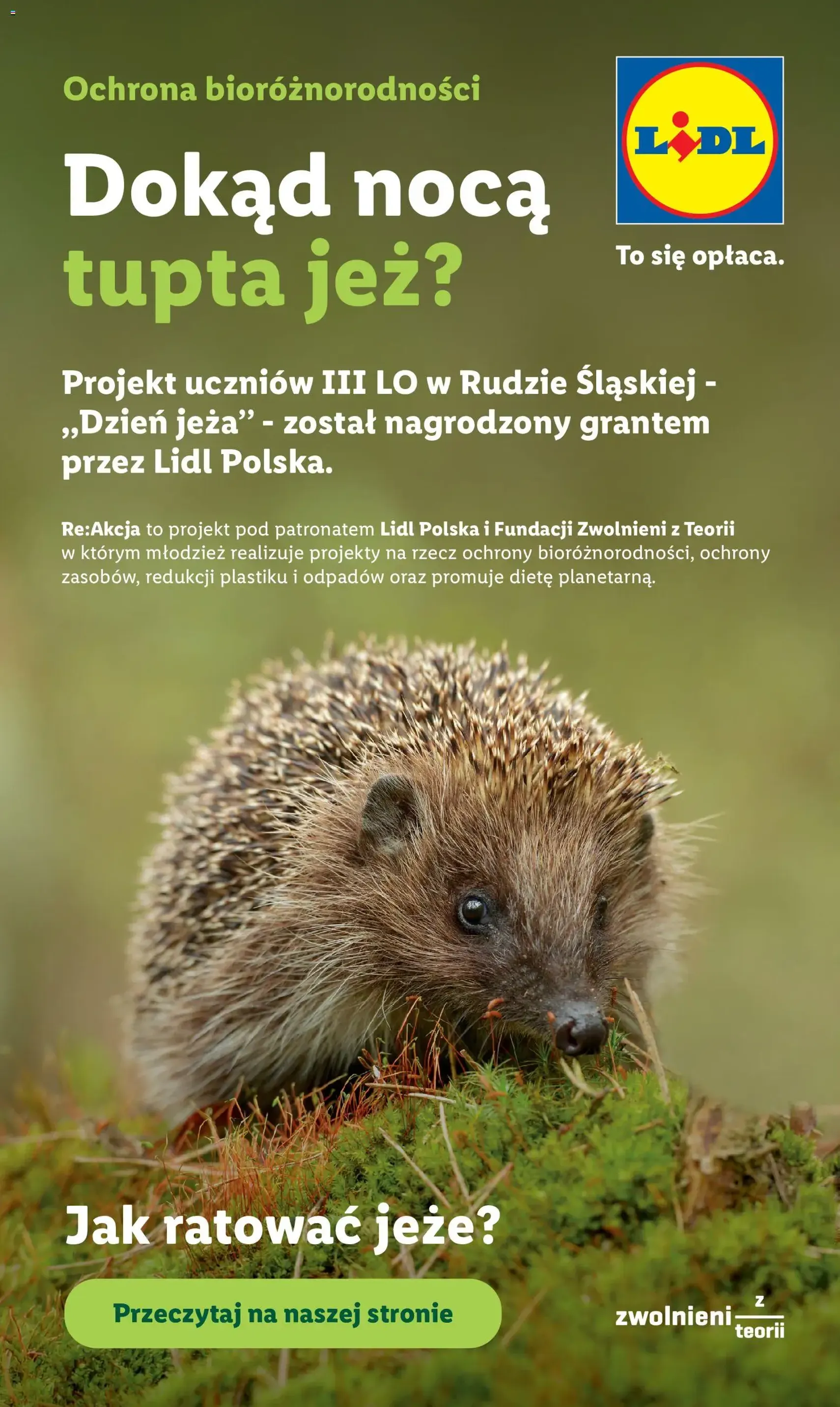 Lidl gazetka - ważny gazetka od 08.06.2026 strona 88 z 88