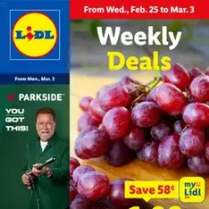 Lidl Weekly Ad - Flyer preview valid from 02/25/2026