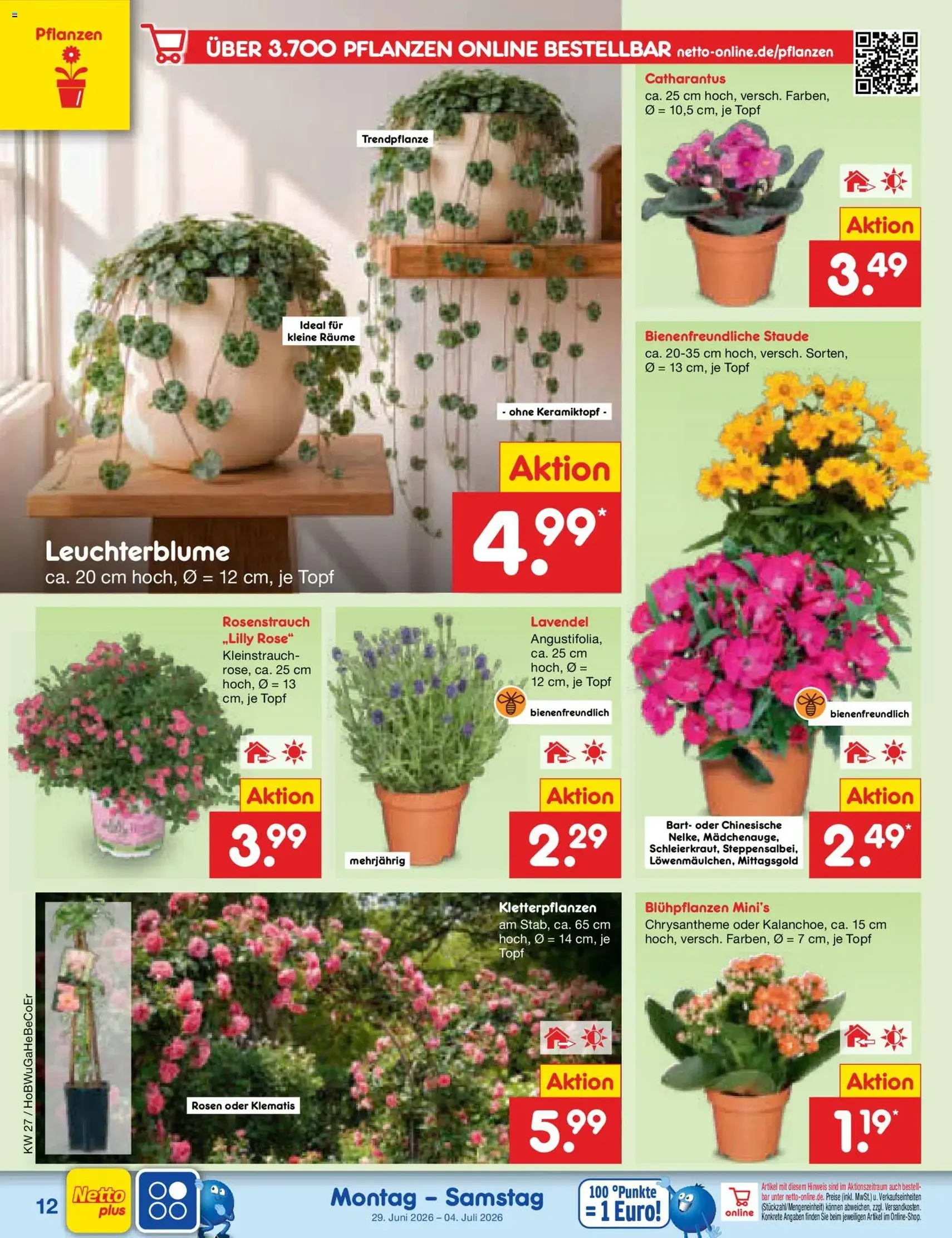 Netto Marken-Discount Prospekt - Gültiger Prospekt ab 29.06.2026, Seite 16 von insgesamt 70