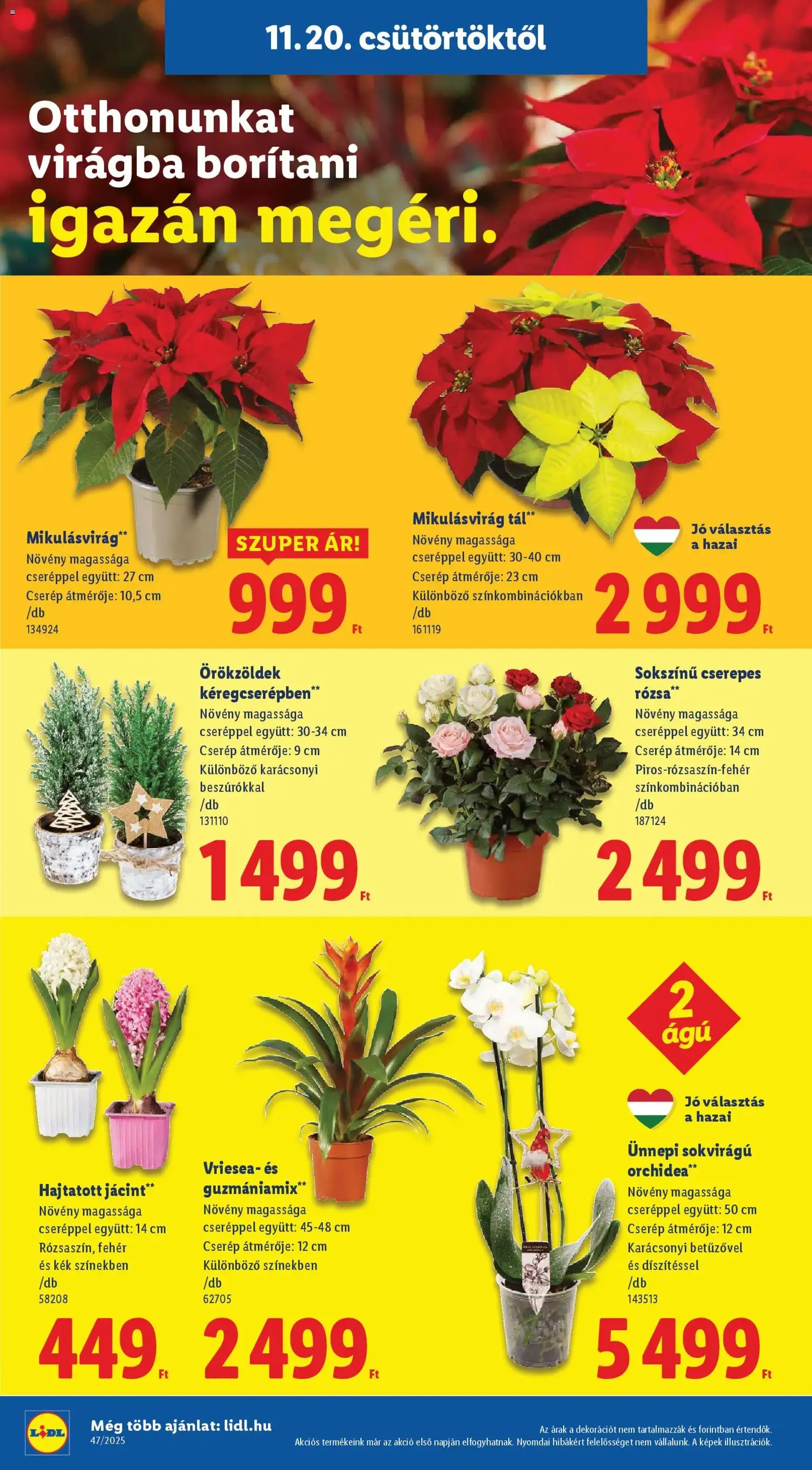 Lidl Black Friday - 2025.11.20. érvényes szórólap 6 oldal 66 oldalból