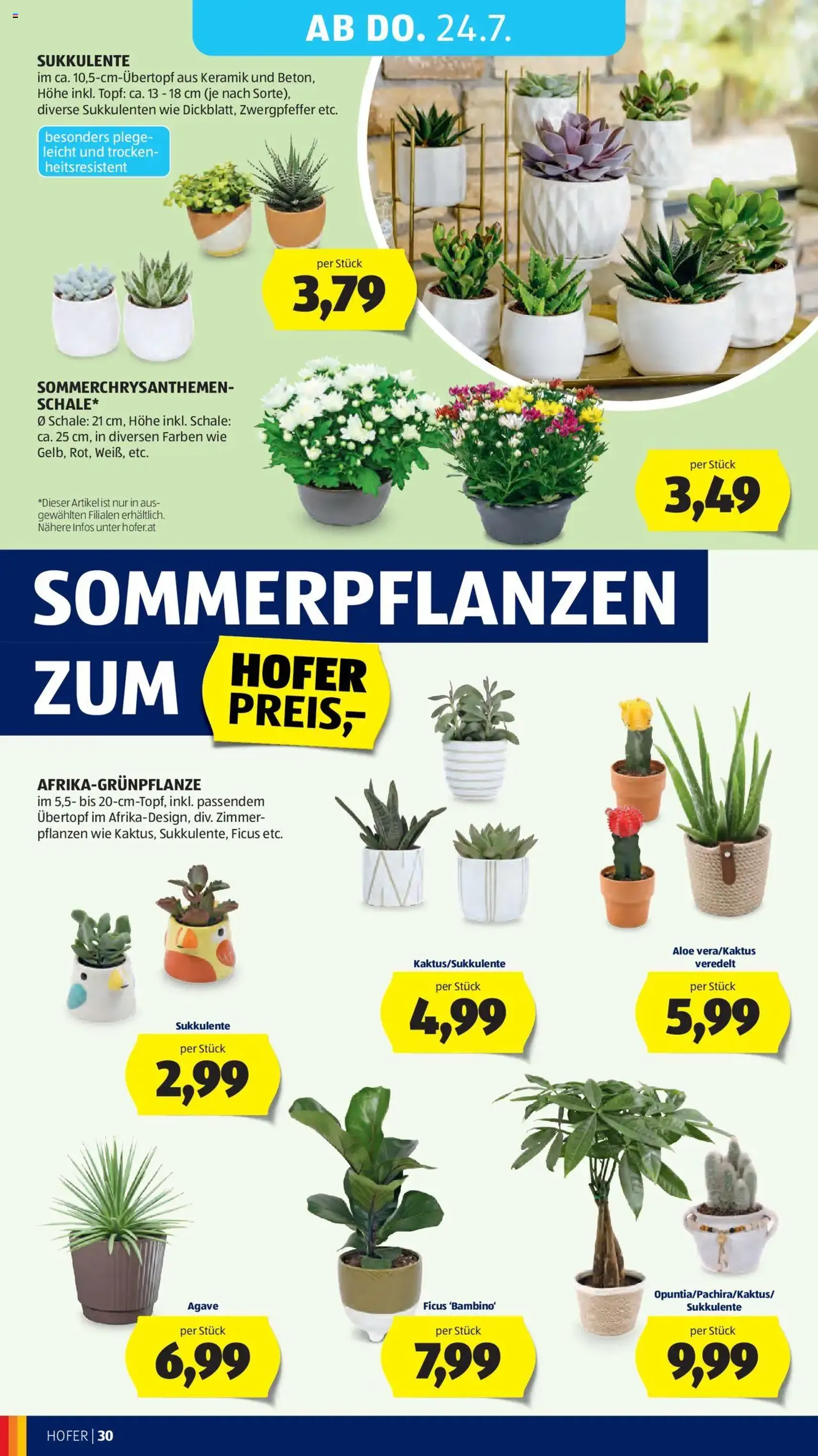 Hofer Flugblatt - Gültiger Prospekt ab 18.07.2025, Seite 34 von insgesamt 41 Hofer Flugblatt - Gültiger Prospekt ab 18.07.2025, Seite 34 von insgesamt 41