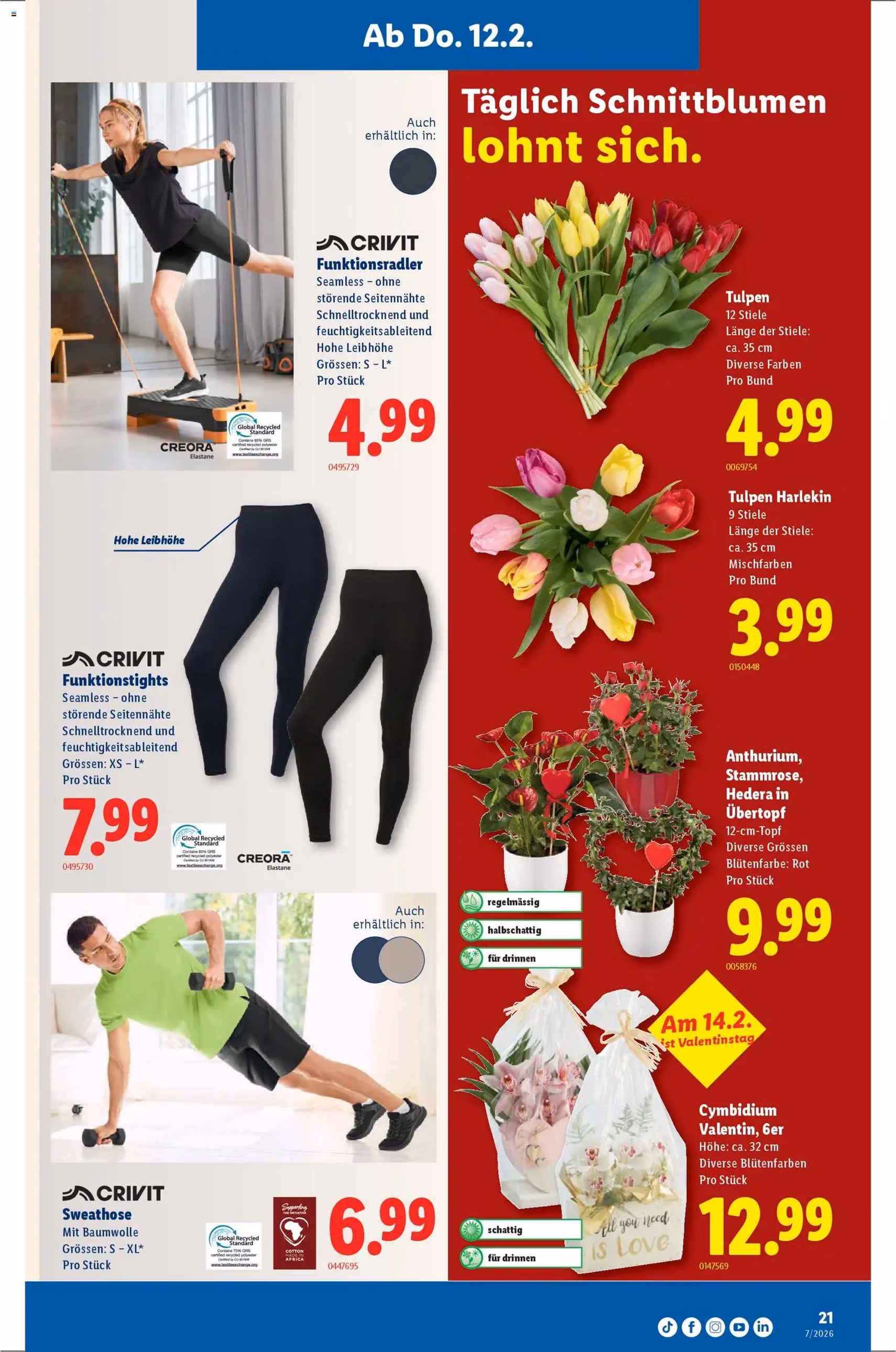 Lidl Aktionen - Gültiger Prospekt ab 12.02.2026, Seite 21 von insgesamt 34