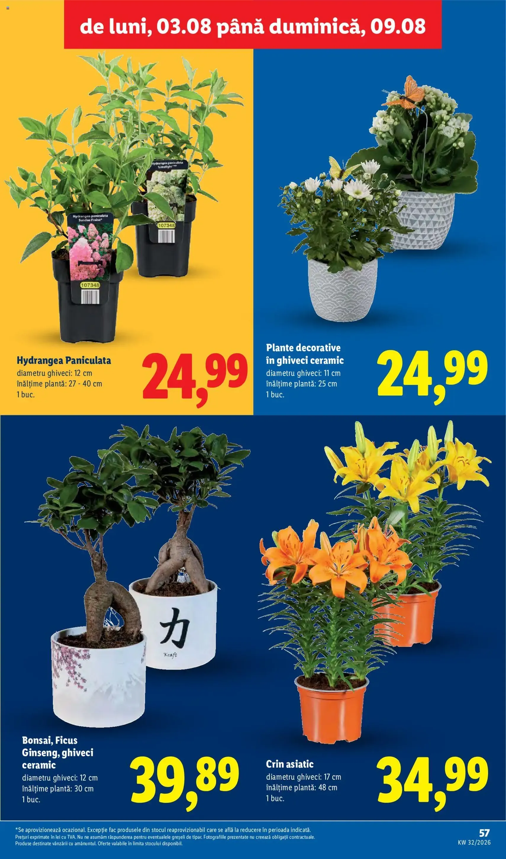 Lidl Catalog - cataloage valabile începând cu 03.08.2026 pagina 57 din 90