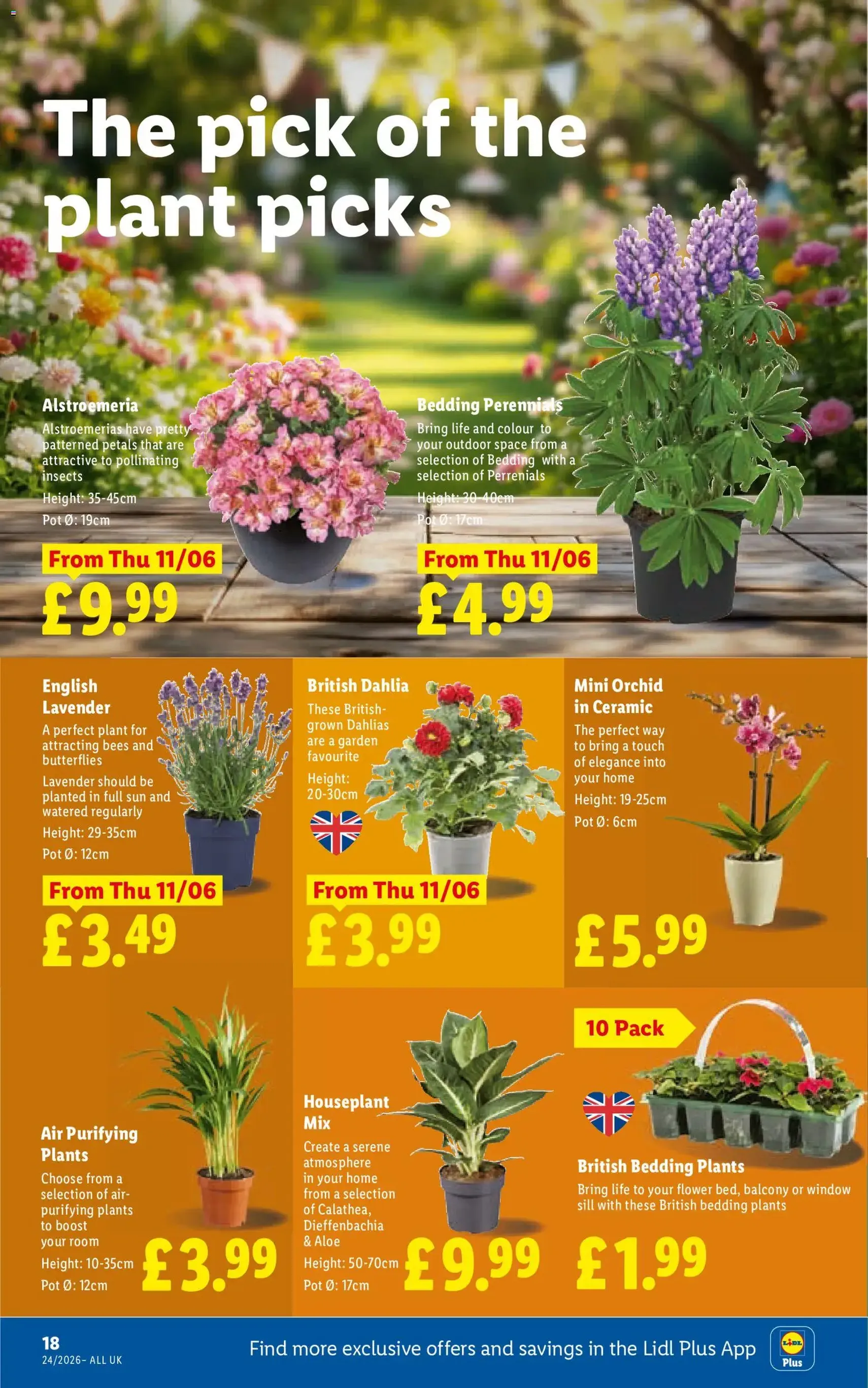 Weekly offers Lidl - valid flyer from 11/06/2026, page 18 of 30