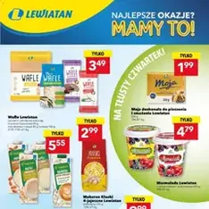 Lewiatan gazetka - podgląd gazetki ważnej od 05.02.2026