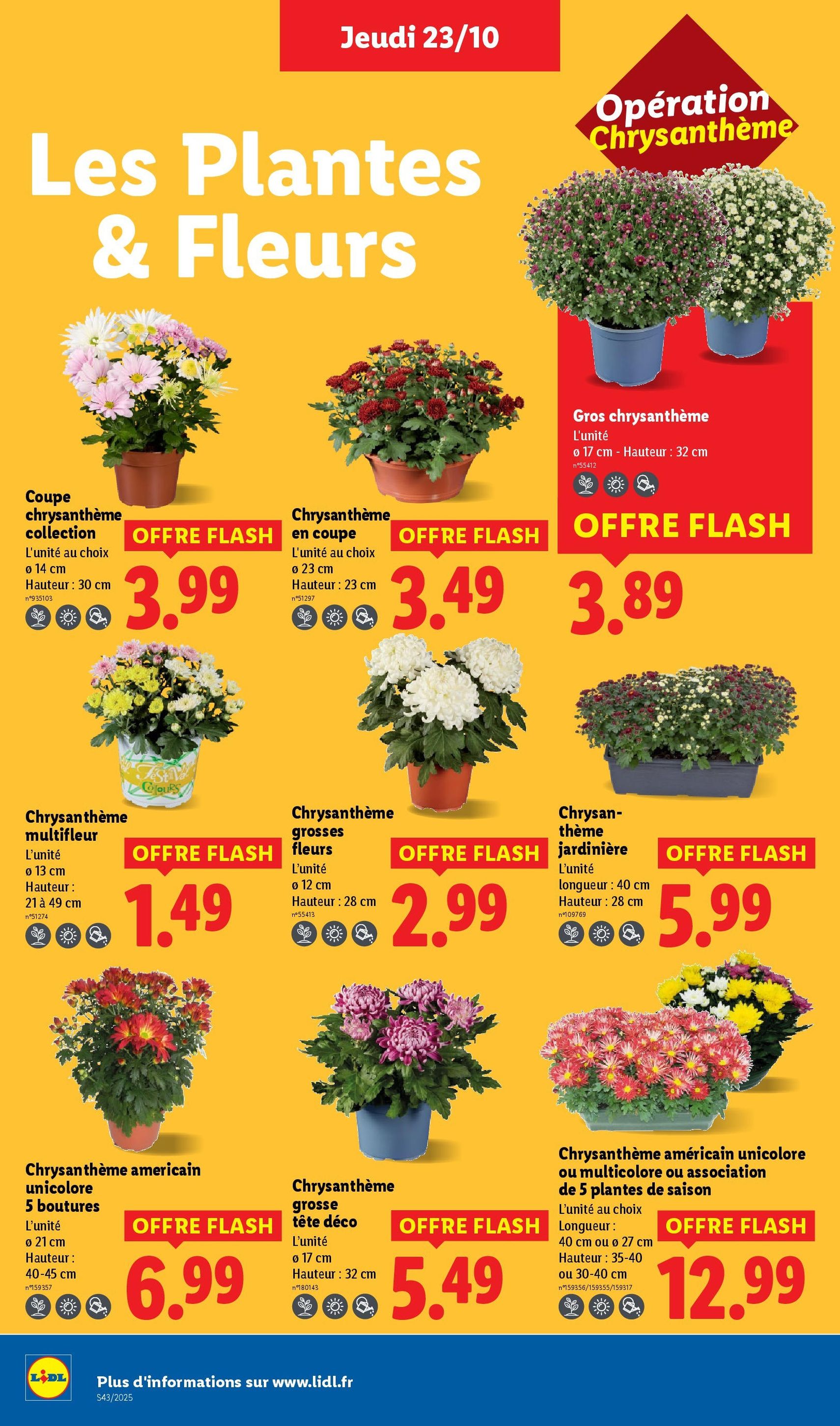 LIDL catalogue semaine 43 - brochure valable à partir du 23/10/2025, page 26 sur 84 LIDL catalogue semaine 43 - brochure valable à partir du 23/10/2025, page 26 sur 84