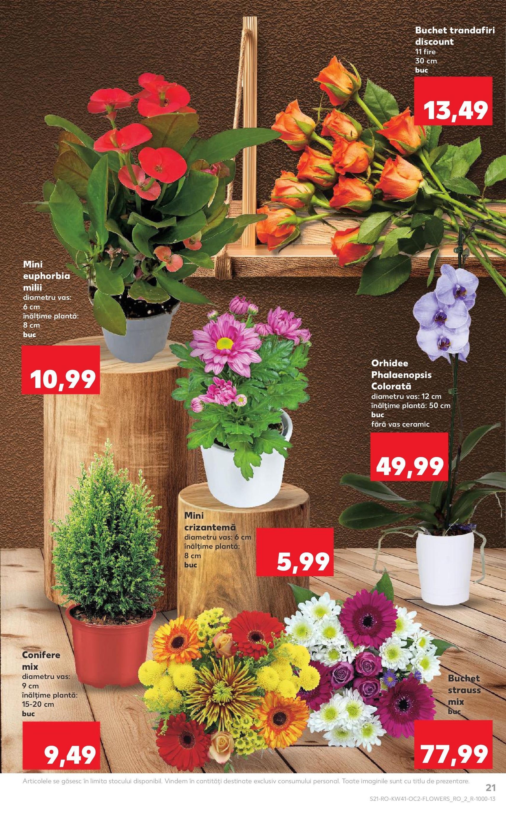 Catalog Kaufland - Bucureşti - cataloage valabile începând cu 08.10.2025 pagina 21 din 68