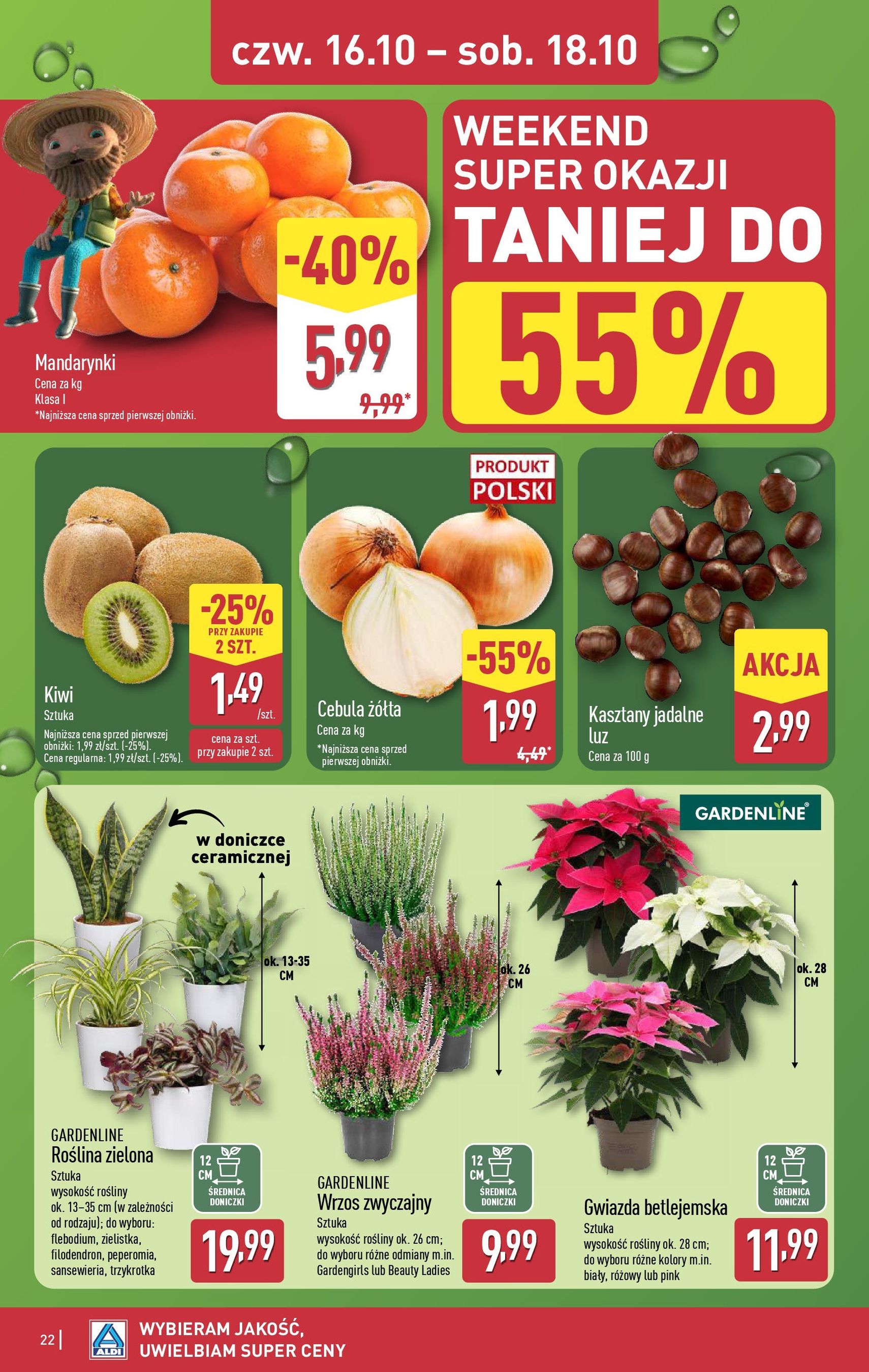 Aldi Gazetka - ważny gazetka od 13.10.2025 strona 22 z 28