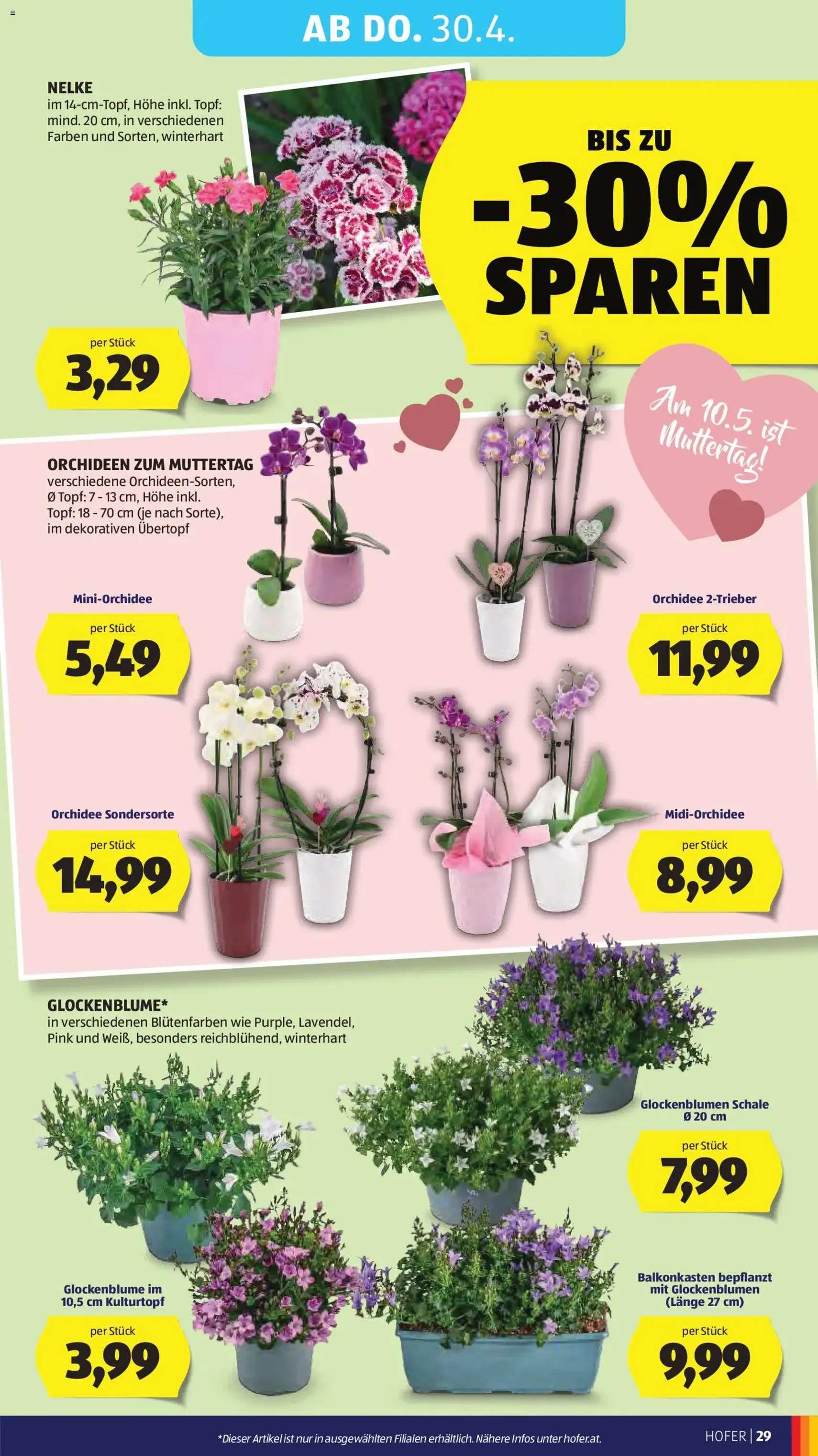 Hofer Flugblatt - Gültiger Prospekt ab 22.04.2026, Seite 33 von insgesamt 41