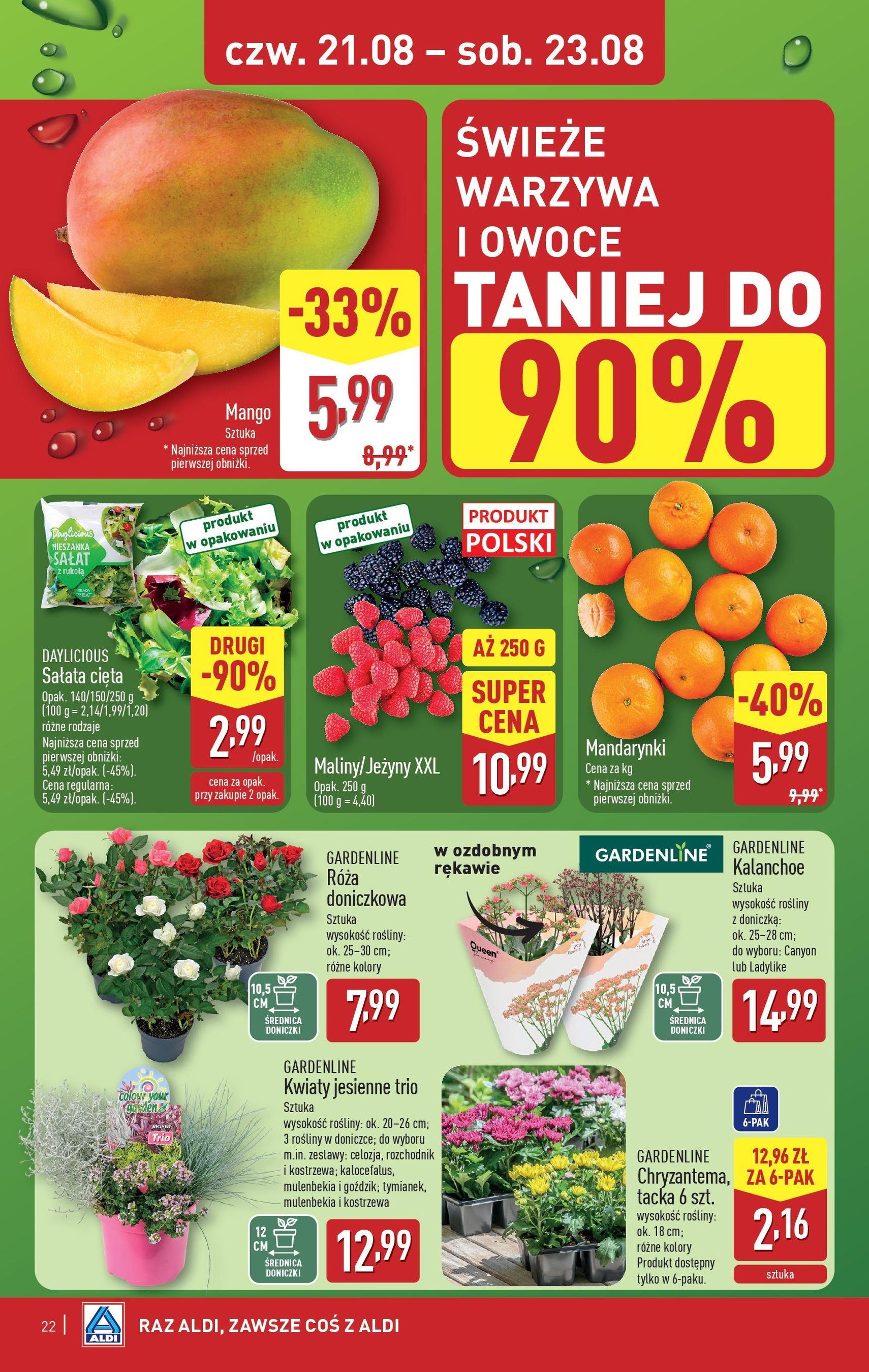 Aldi Gazetka - ważny gazetka od 18.08.2025 strona 22 z 28 Aldi Gazetka - ważny gazetka od 18.08.2025 strona 22 z 28