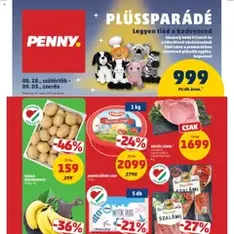 PENNY Akciós újság - szórólap előnézete érvényes 2025.08.28. -tól