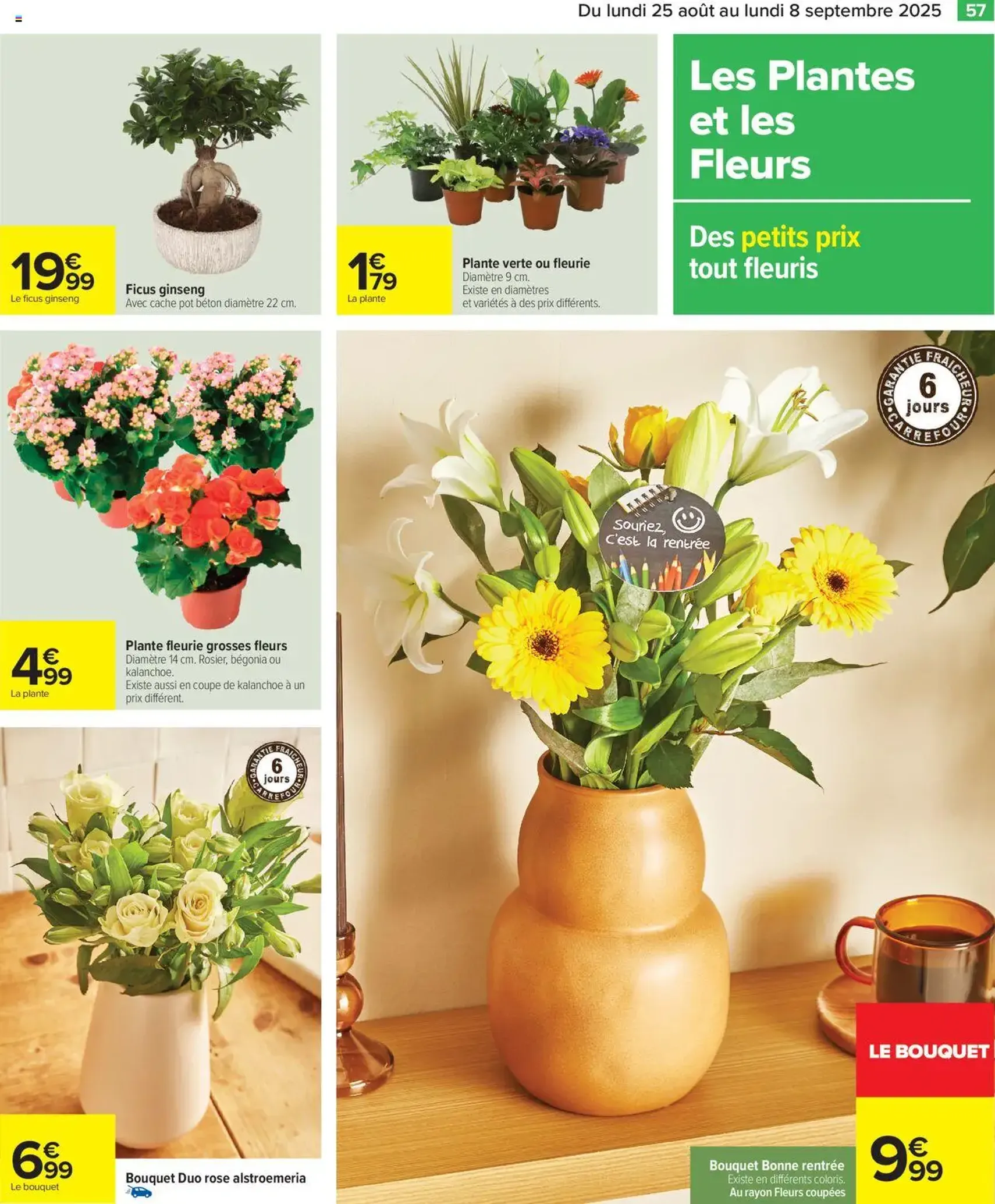 Carrefour catalogue semaine 35 - brochure valable à partir du 25/08/2025, page 59 sur 72 Carrefour catalogue semaine 35 - brochure valable à partir du 25/08/2025, page 59 sur 72