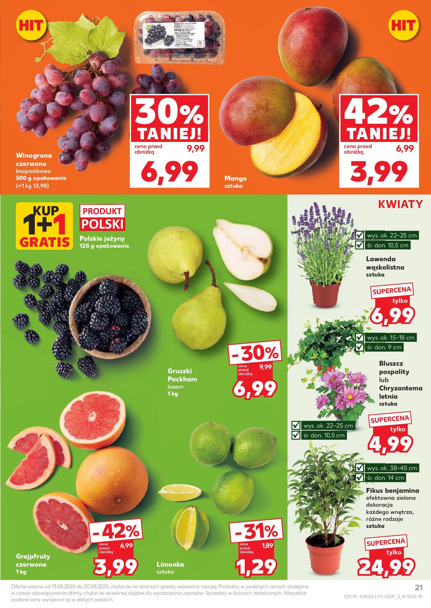 Kaufland gazetka - ważny gazetka od 13.08.2025 strona 21 z 58