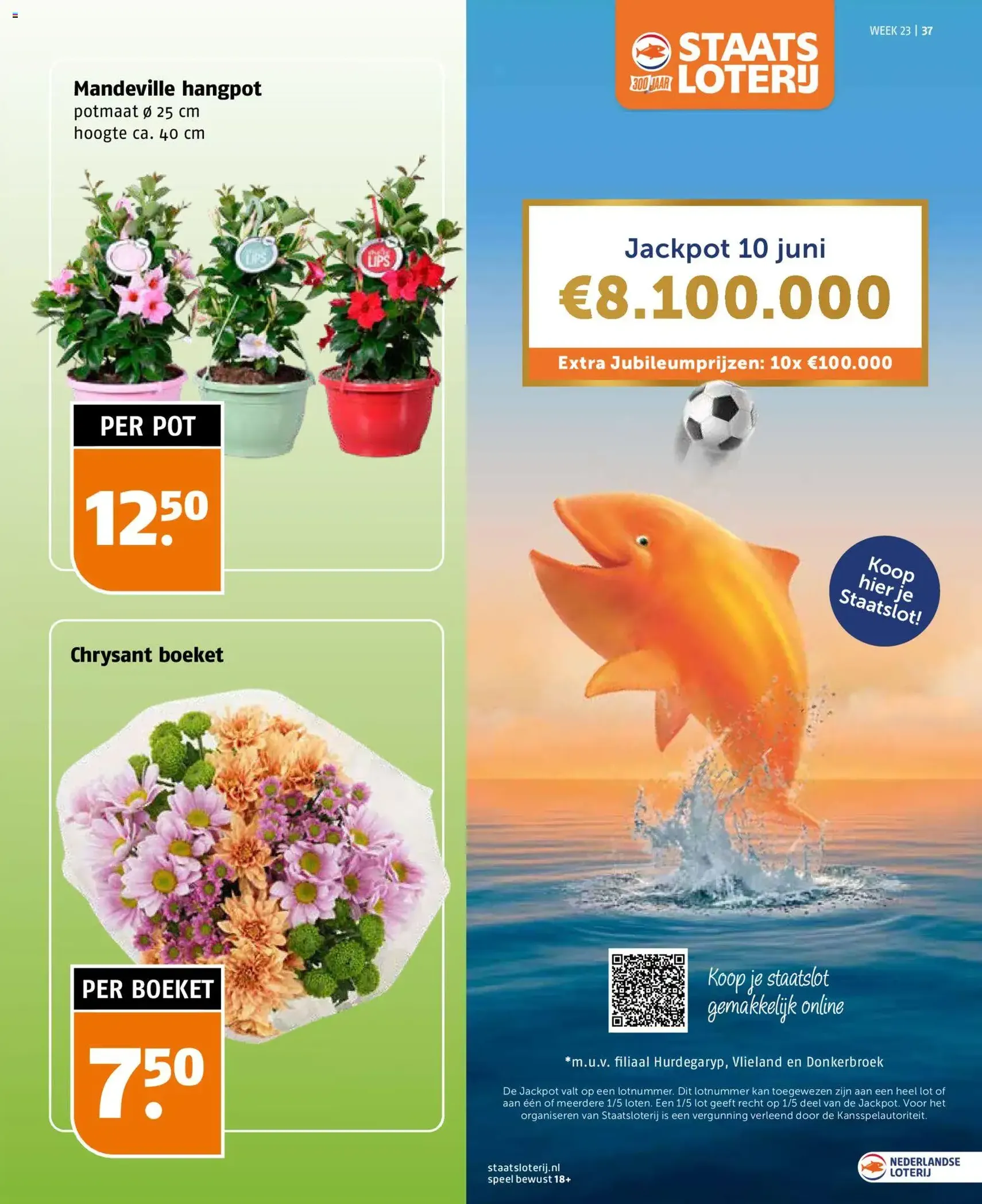 Poiesz folder - geldige folder vanaf 31-05-2026 pagina 37 van 40
