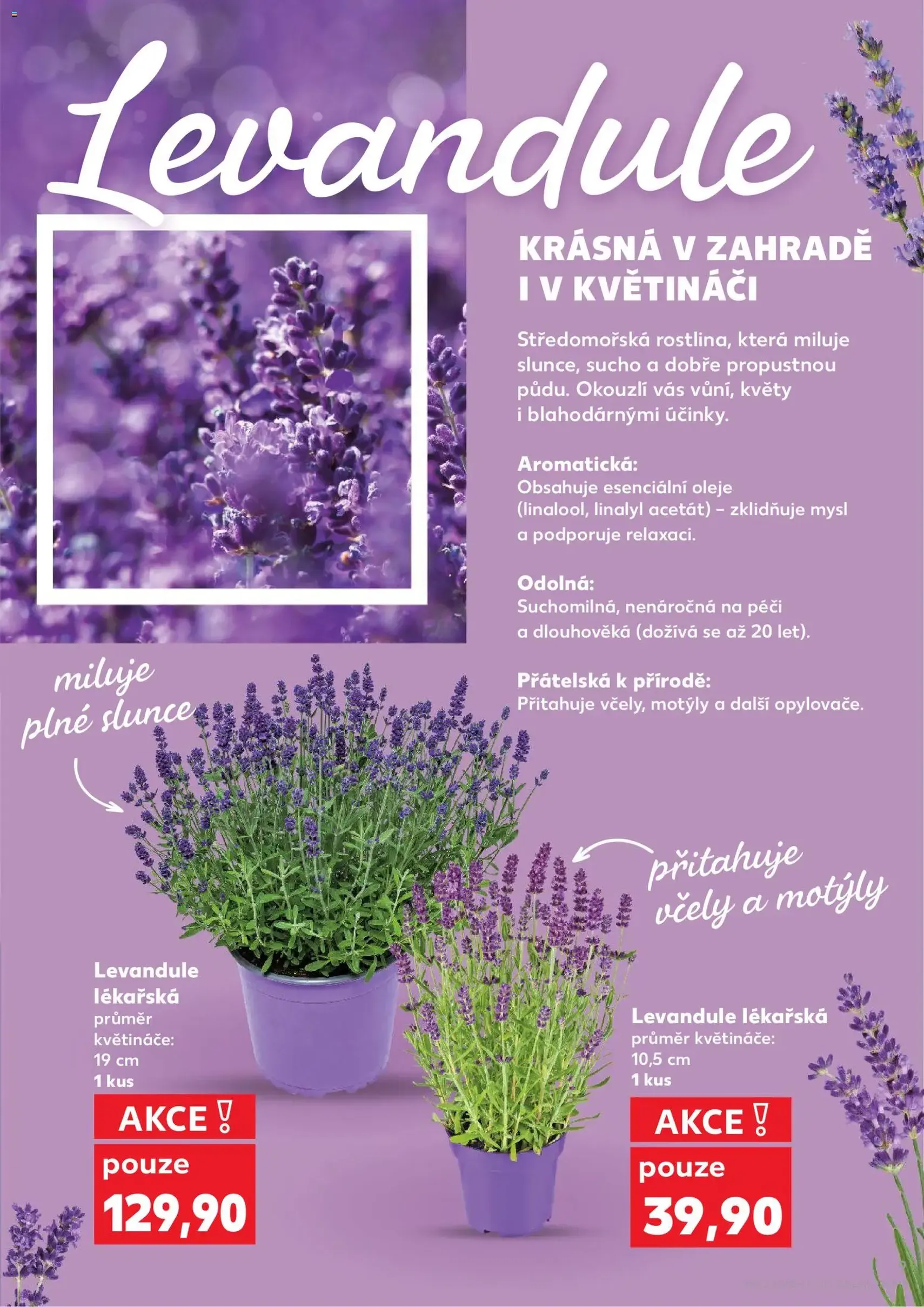 Kaufland leták - platný leták od 03.06.2026 strana 9 z 54