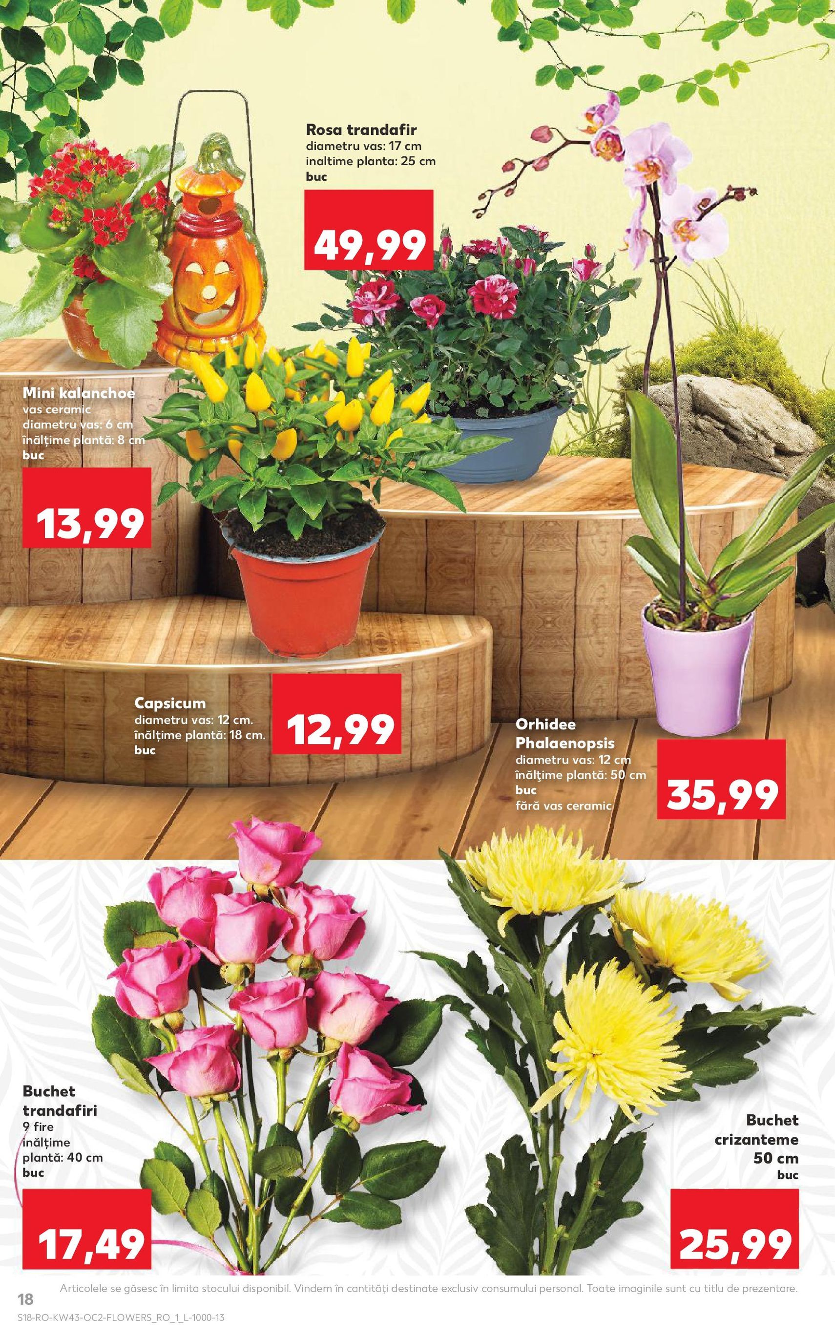 Catalog Kaufland - Bucureşti - cataloage valabile începând cu 22.10.2025 pagina 18 din 62 Catalog Kaufland - Bucureşti - cataloage valabile începând cu 22.10.2025 pagina 18 din 62
