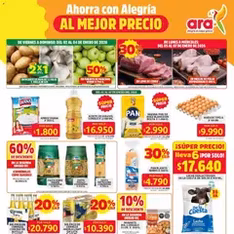 Vista previa del folleto Ara - Catálogo válido desde 02/01/2026