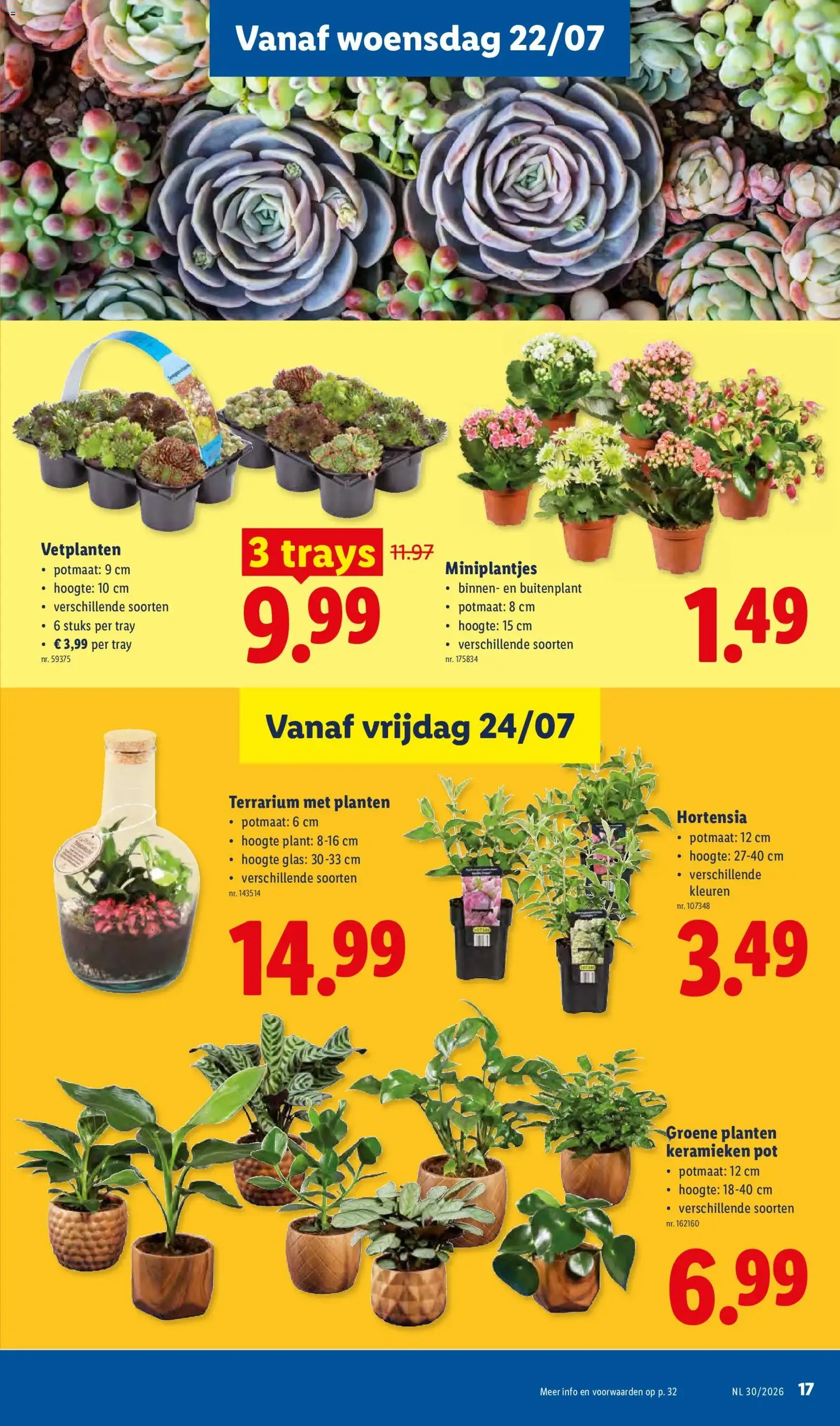 Lidl Folder week 30 - geldige folder vanaf 20/07/2026 pagina 17 van 32