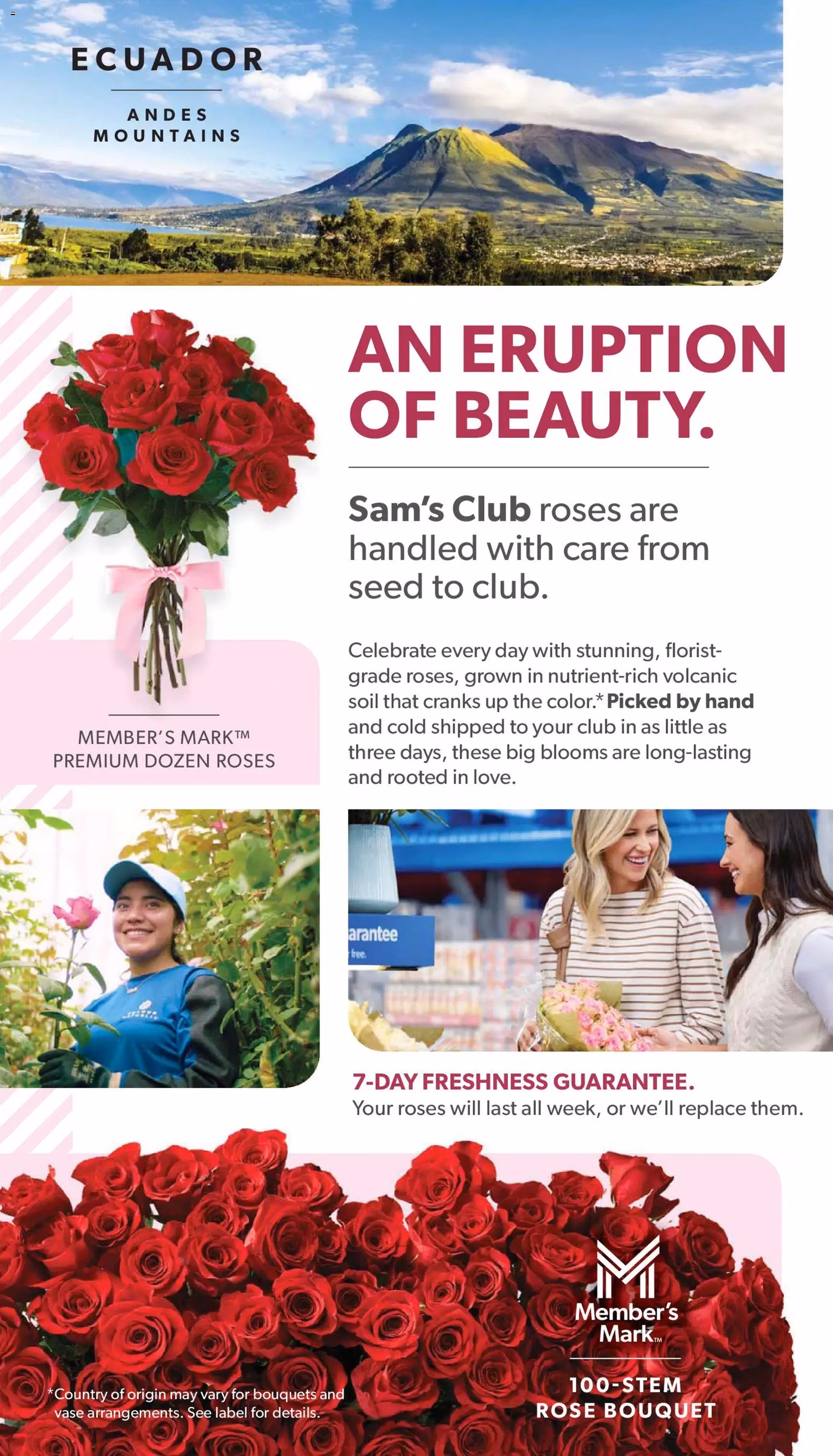 Sam's Club Instant Savings Book February - valid flyer from 01/28/2026, page 29 of 44