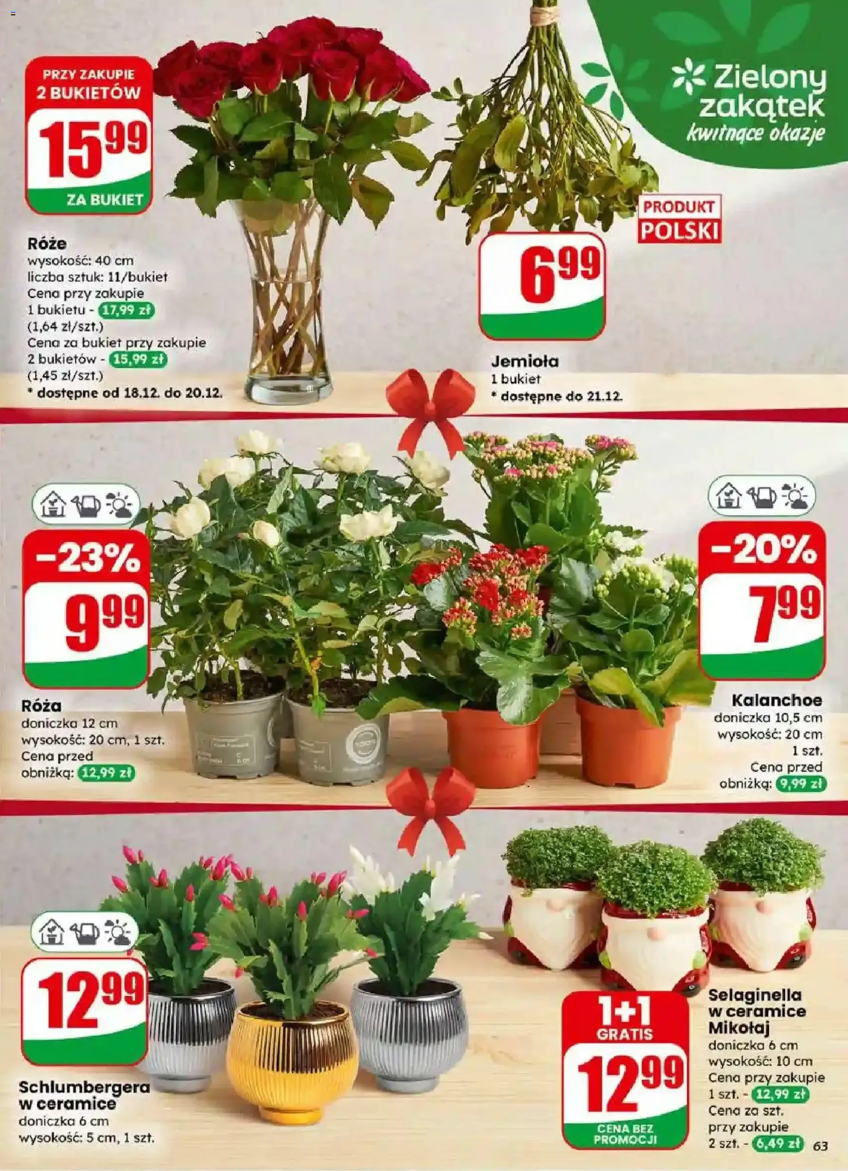 Dino Gazetka - ważny gazetka od 17.12.2025 strona 63 z 83