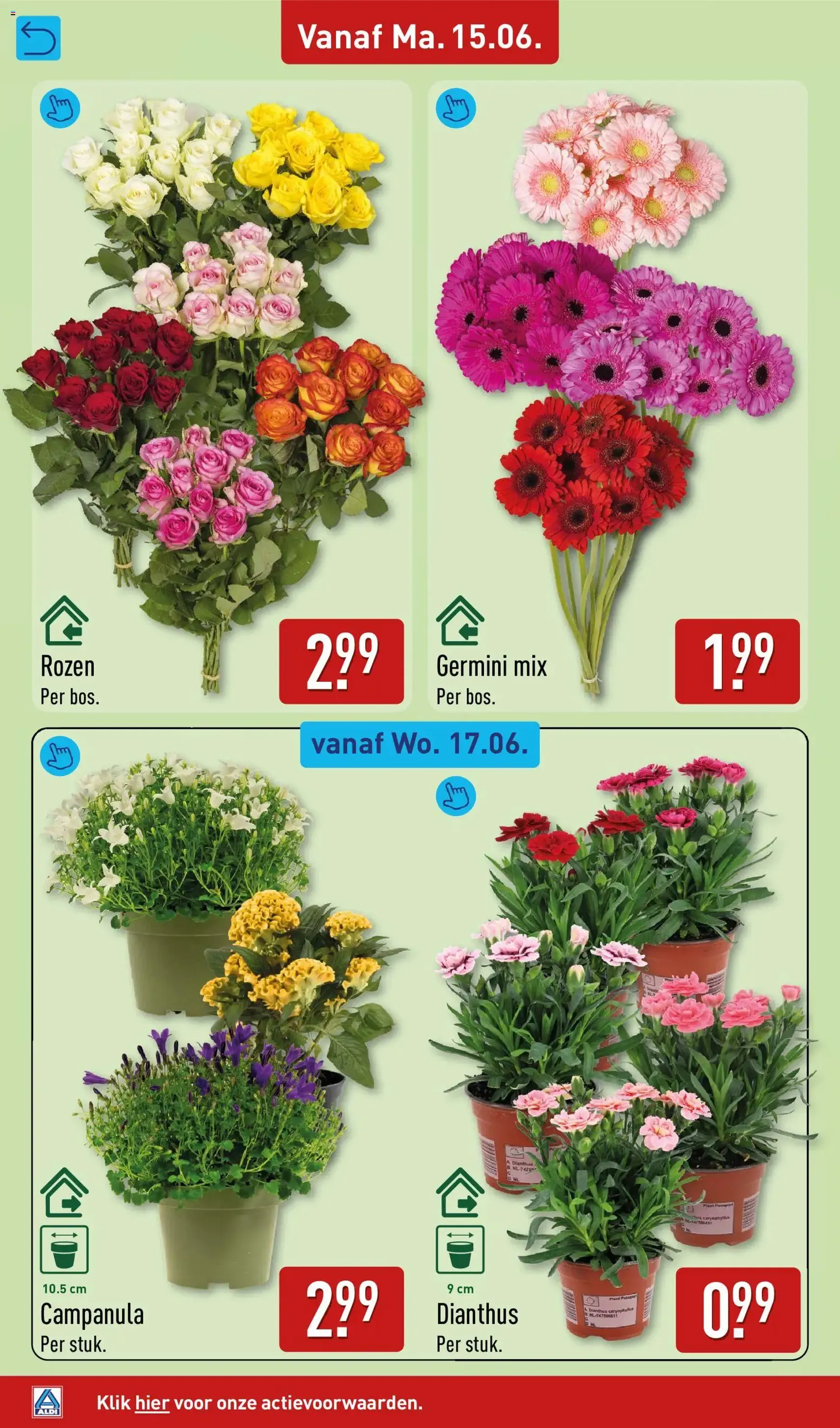 Aldi folder week 25 - geldige folder vanaf 15-06-2026 pagina 40 van 66