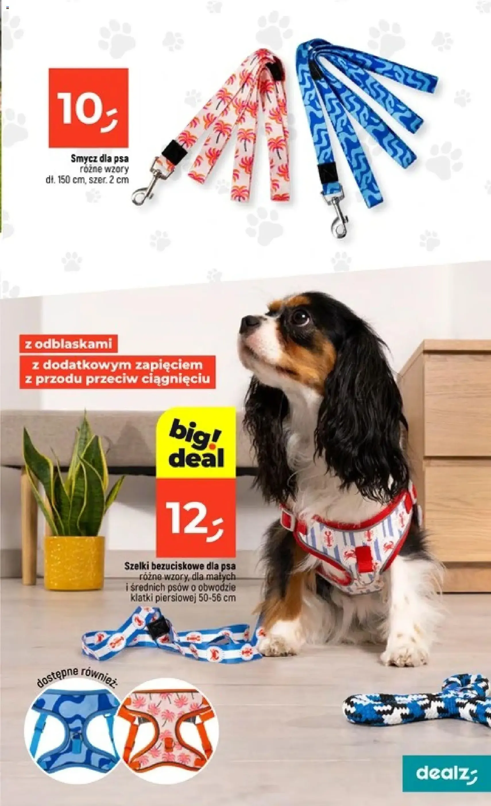 Dealz gazetka - ważny gazetka od 25.06.2026 strona 37 z 46