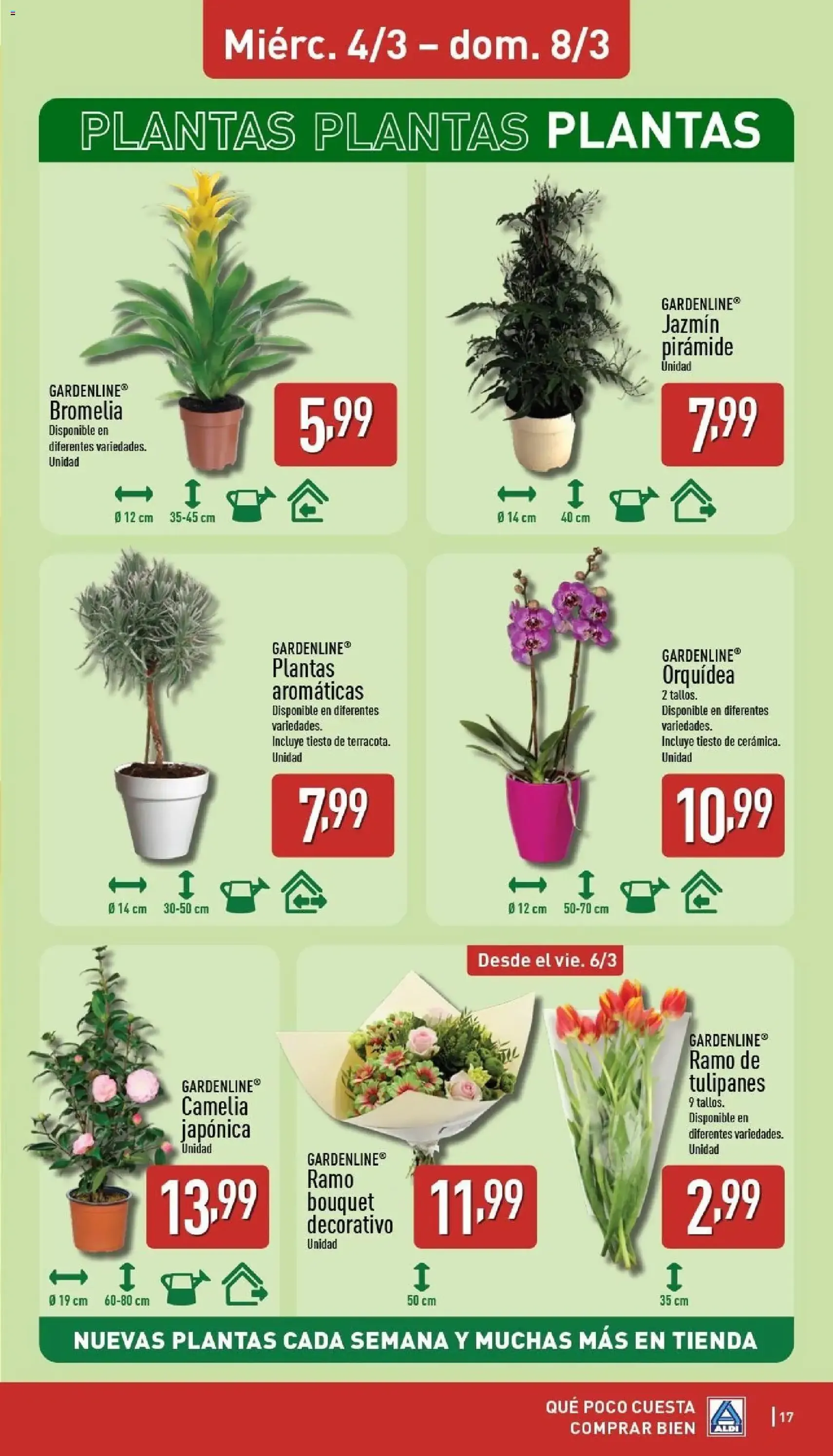 Aldi folleto Península - folleto válido desde 02/03/2026 página 17 de 34