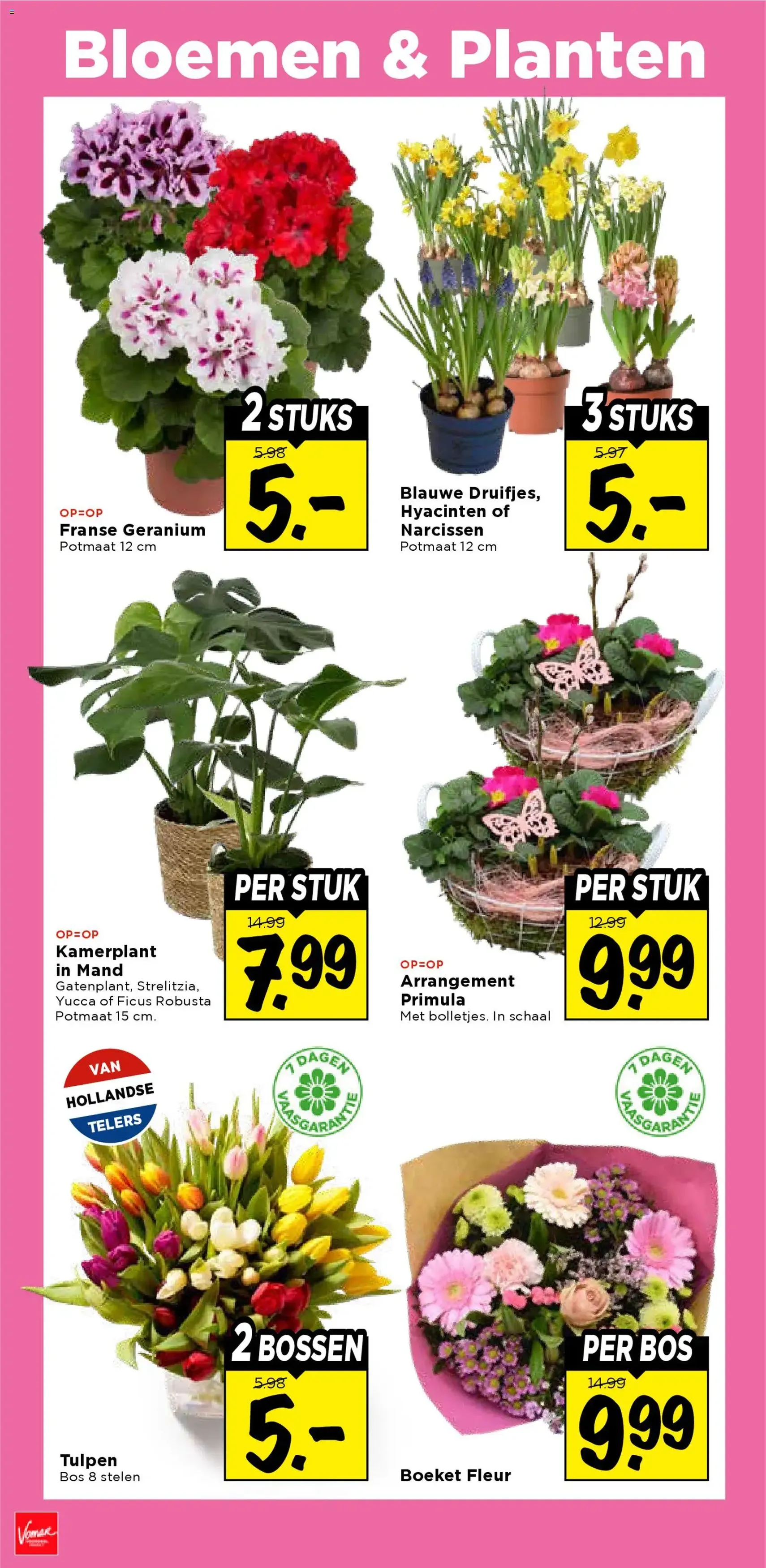 Vomar - Folder - geldige folder vanaf 15-02-2026 pagina 29 van 40