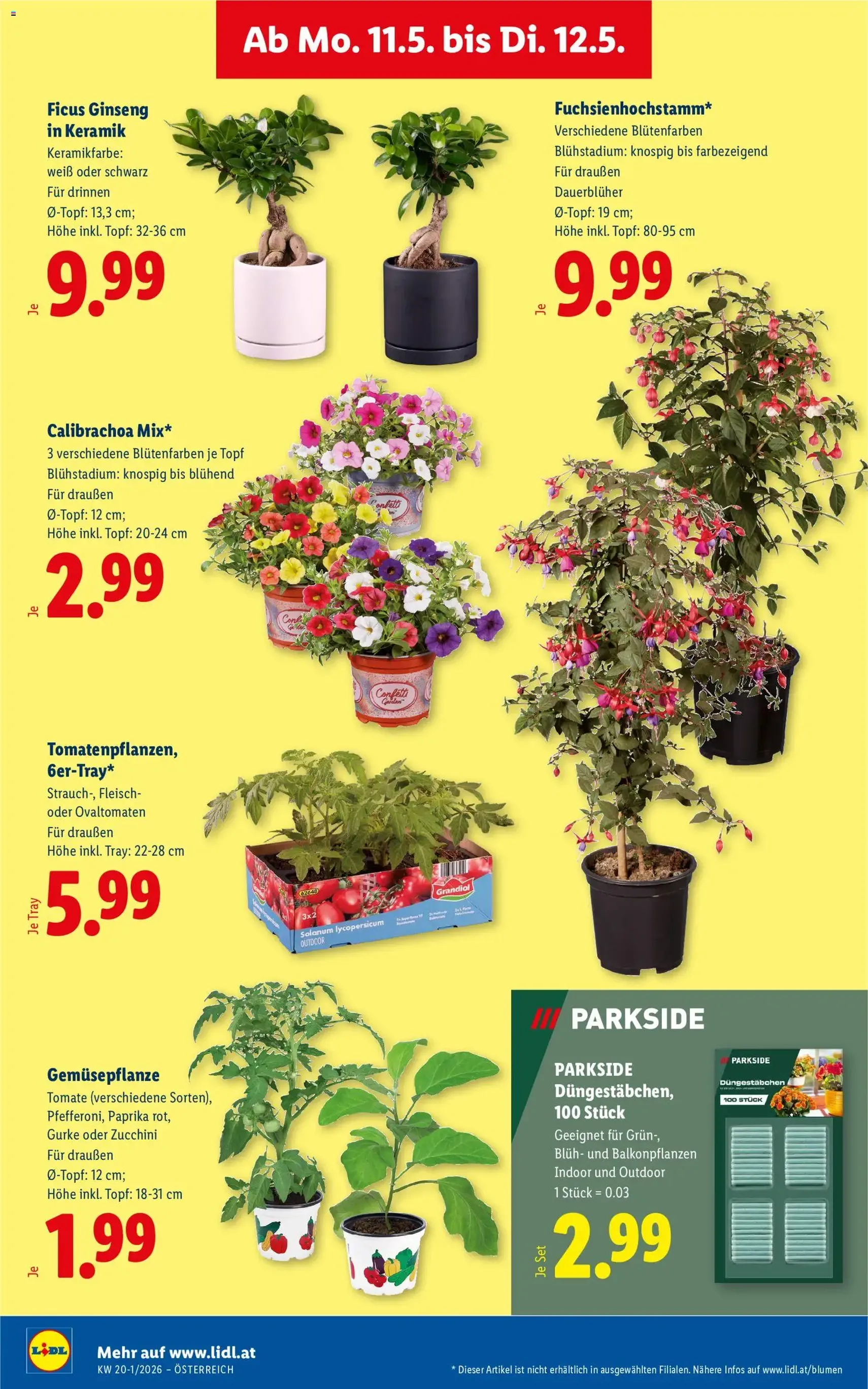 Lidl - Flugblatt - Gültiger Prospekt ab 06.05.2026, Seite 31 von insgesamt 51