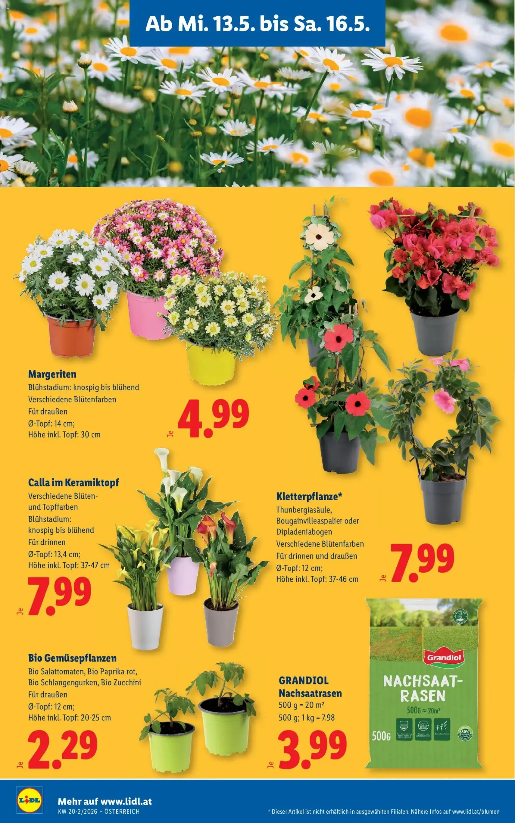 Lidl - Flugblatt - Gültiger Prospekt ab 13.05.2026, Seite 30 von insgesamt 49