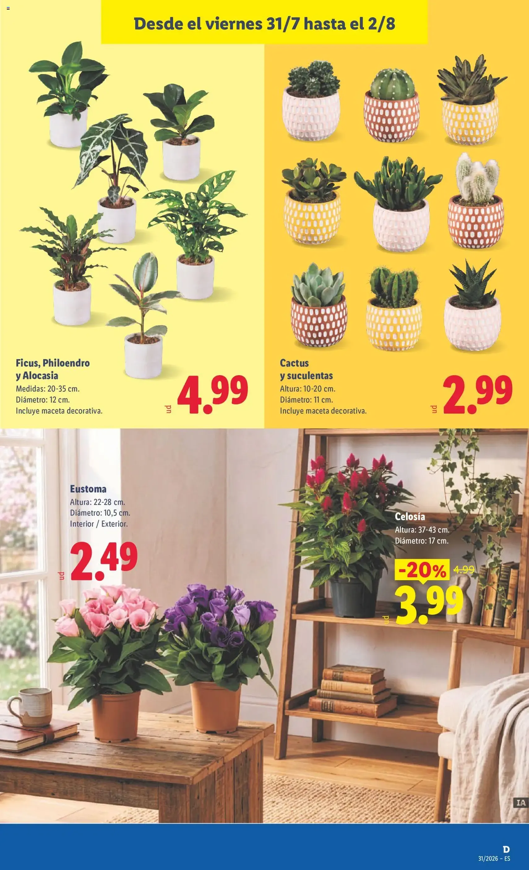 Lidl folleto - folleto válido desde 27/07/2026 página 43 de 45