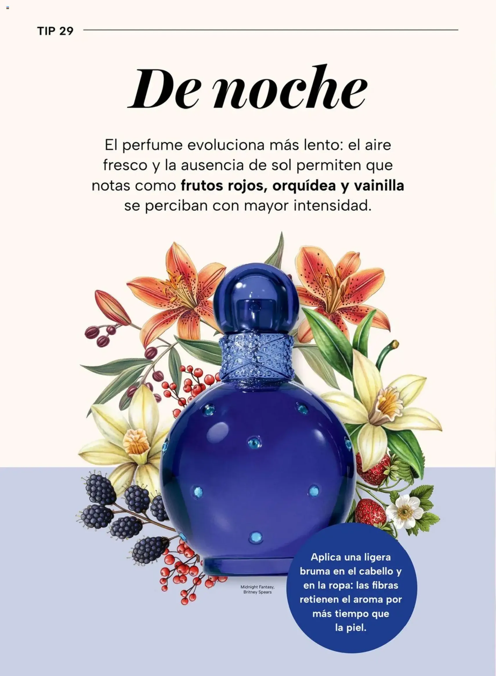 Chedraui folleto - folleto válido desde 04/05/2026 página 62 de 90