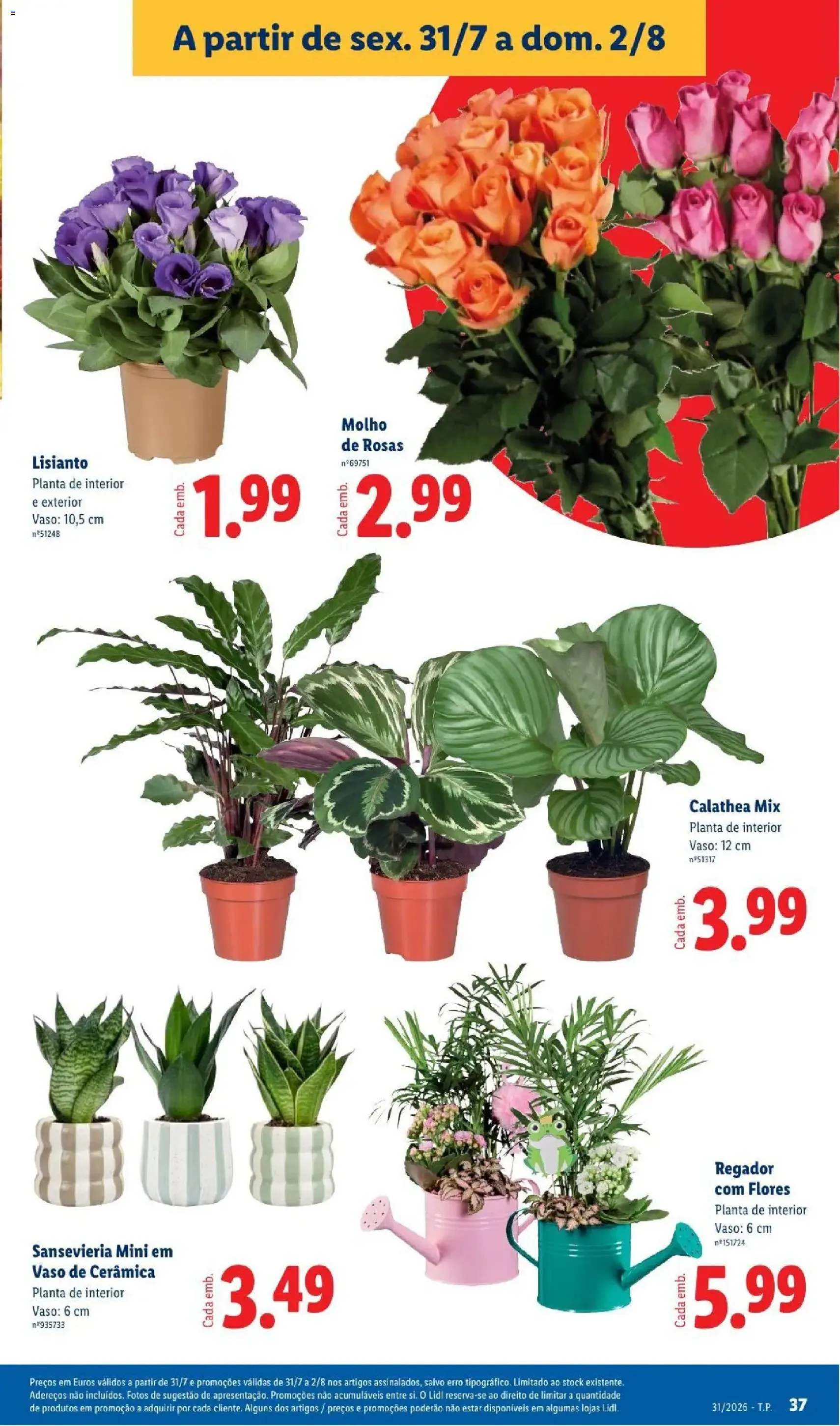 Lidl folheto - folheto válido a partir de 27/07/2026 página 37 de 46