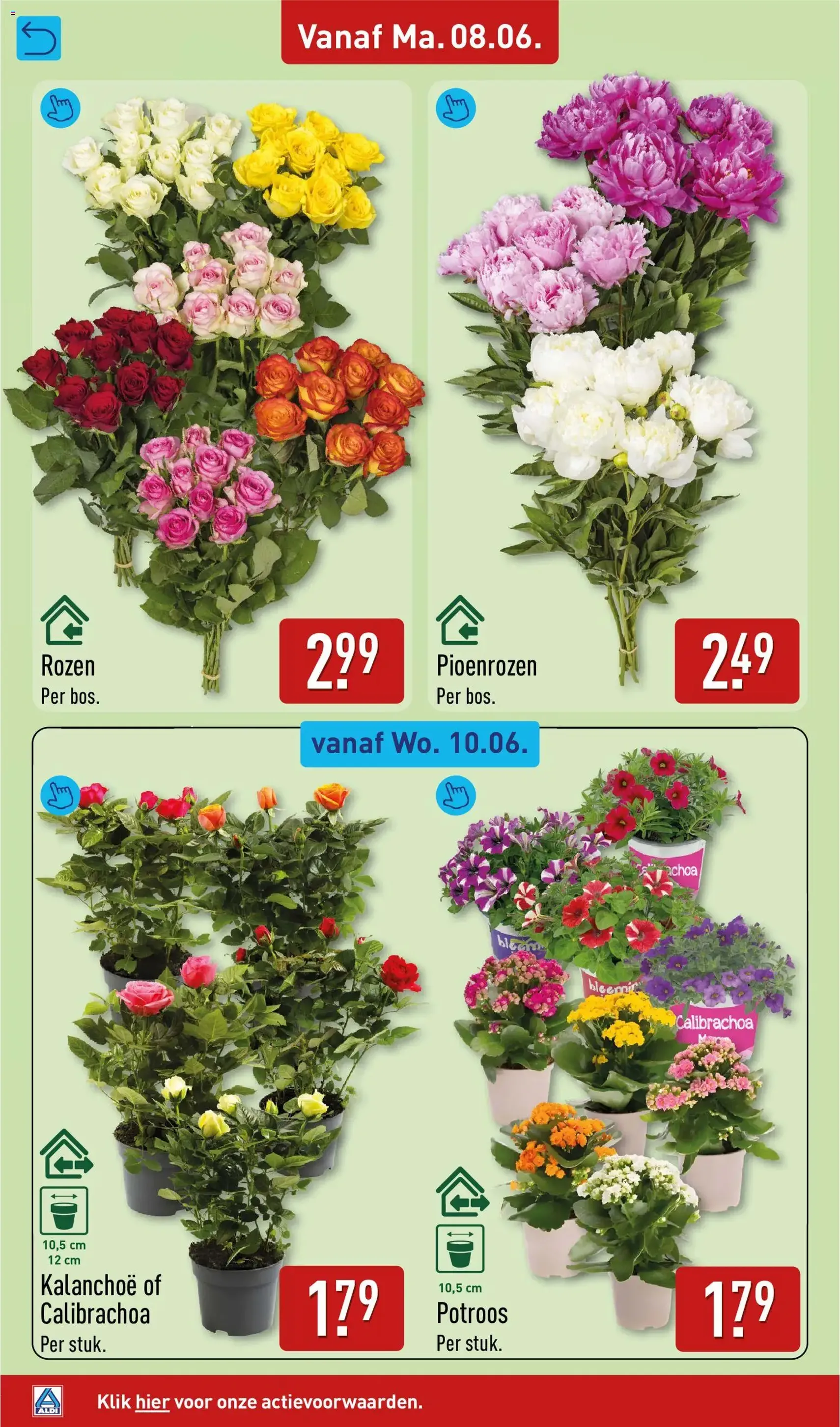 Aldi folder week 24 - geldige folder vanaf 08-06-2026 pagina 30 van 57