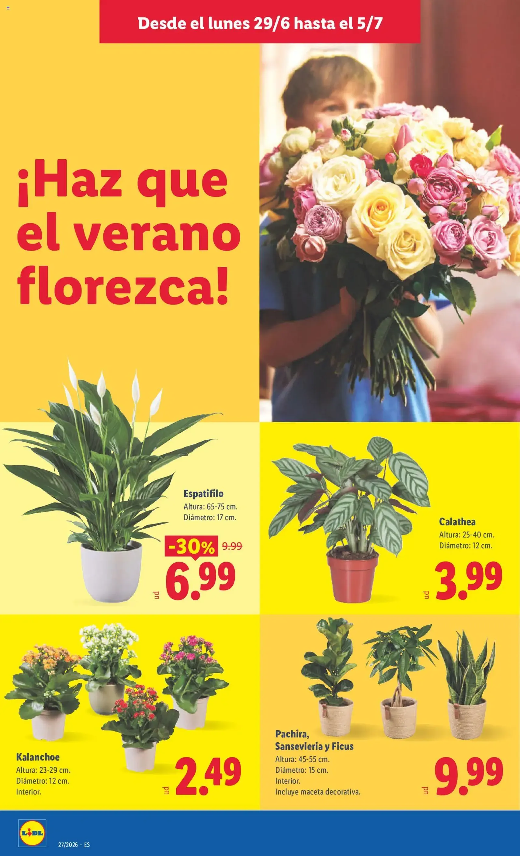 Lidl folleto - folleto válido desde 29/06/2026 página 44 de 49