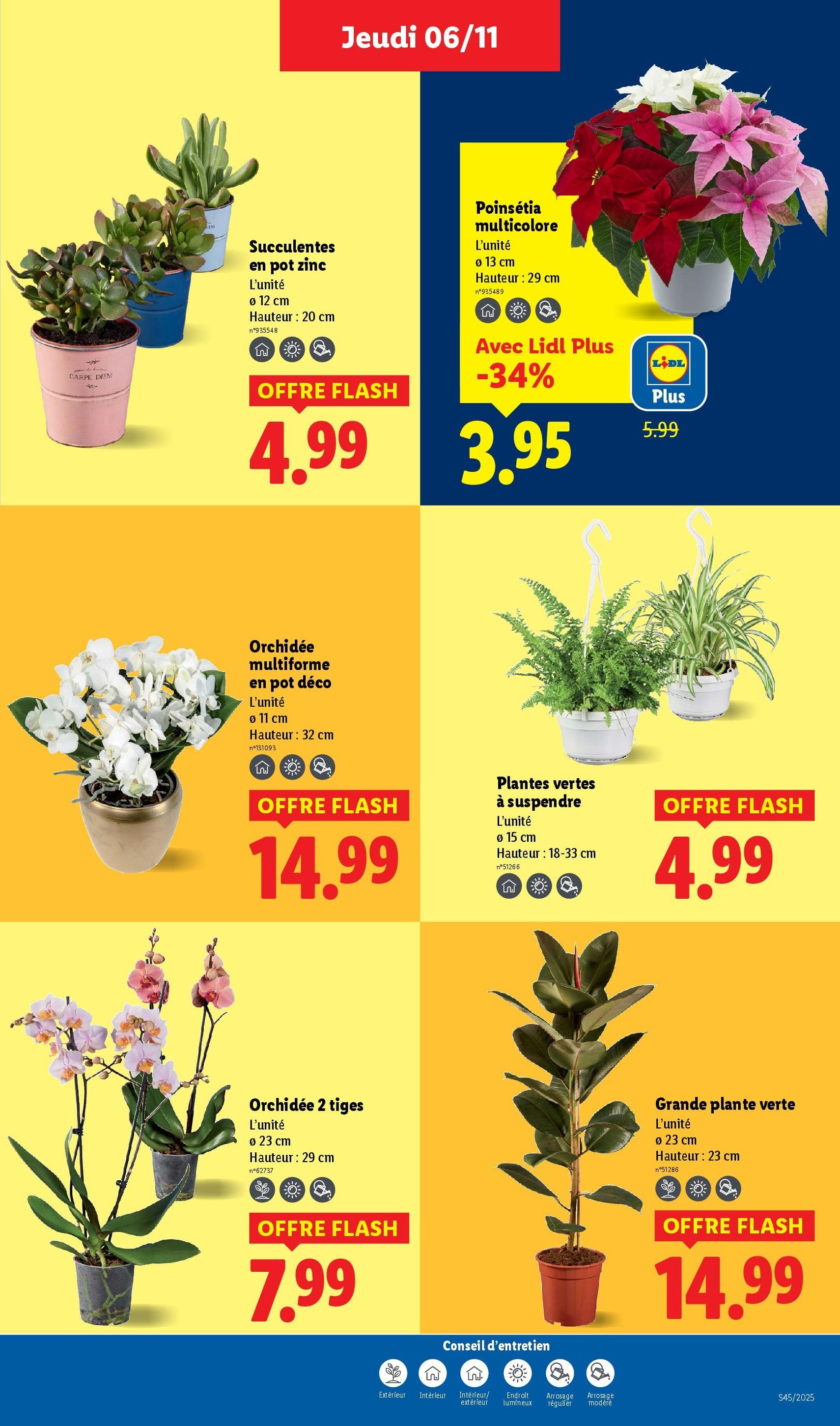 LIDL catalogue semaine 45 - brochure valable à partir du 06/11/2025, page 39 sur 95