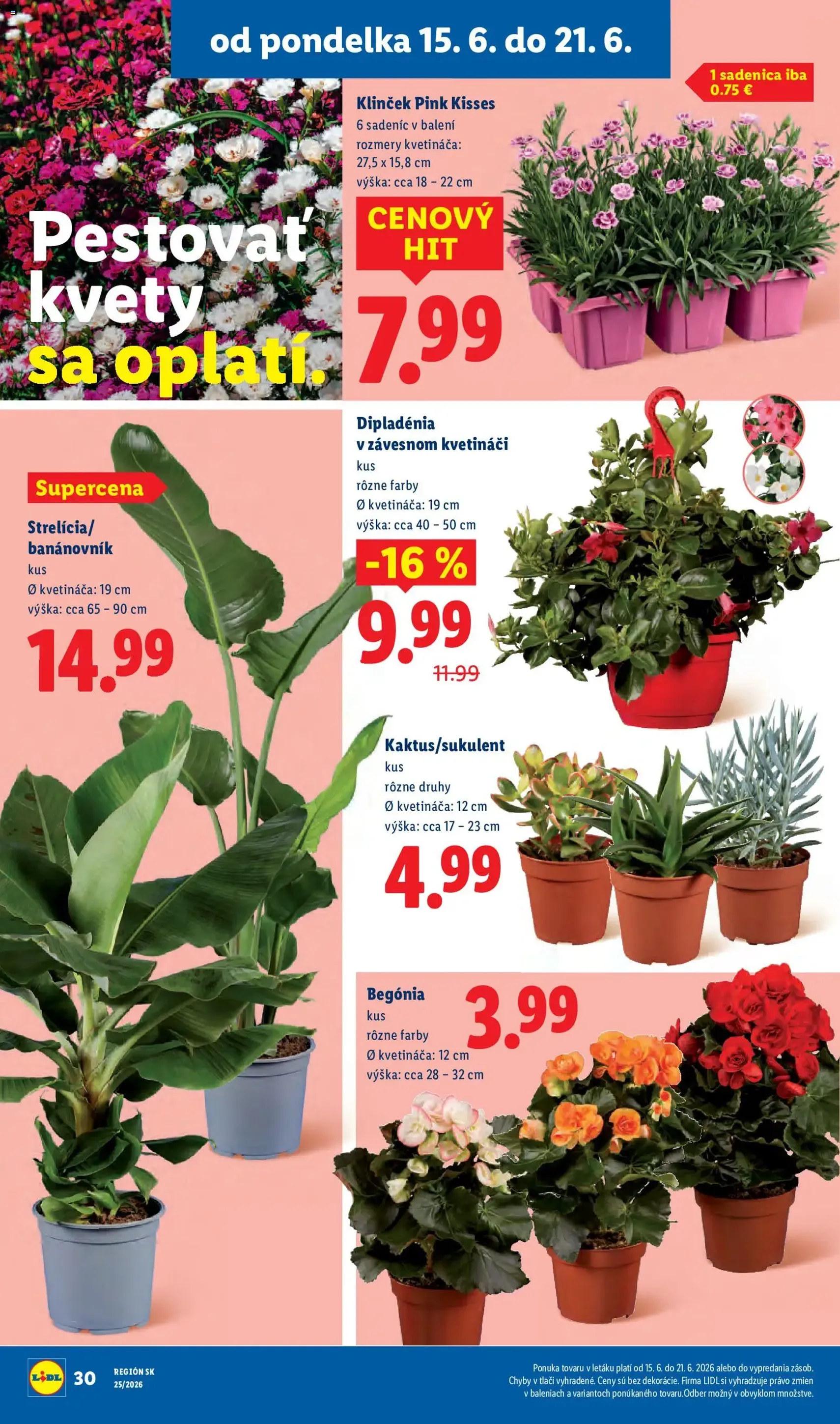 Lidl leták - platný leták od 15.06.2026 strana 45 z 101
