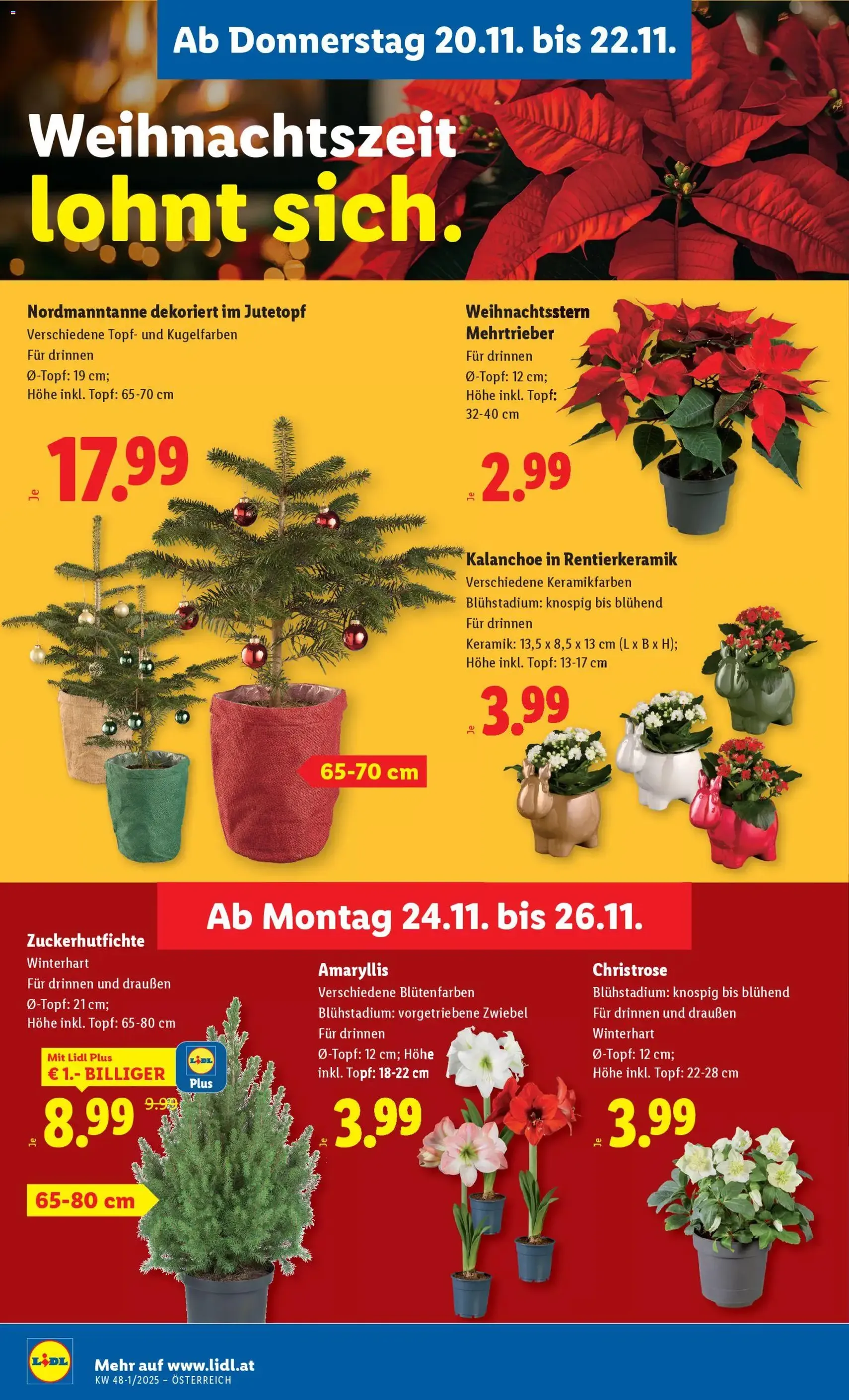 Lidl - Black Friday - Gültiger Prospekt ab 20.11.2025, Seite 26 von insgesamt 45