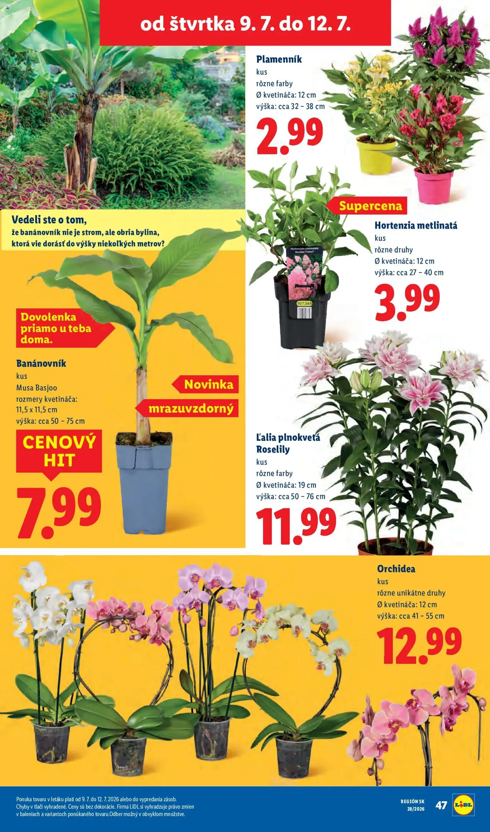 Lidl leták - platný leták od 06.07.2026 strana 99 z 109