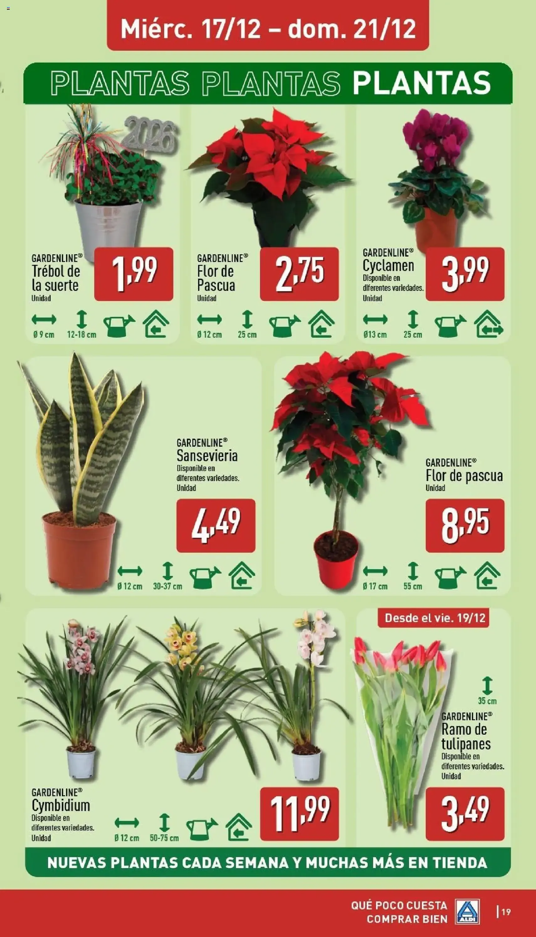 Aldi folleto Península - folleto válido desde 15/12/2025 página 19 de 34