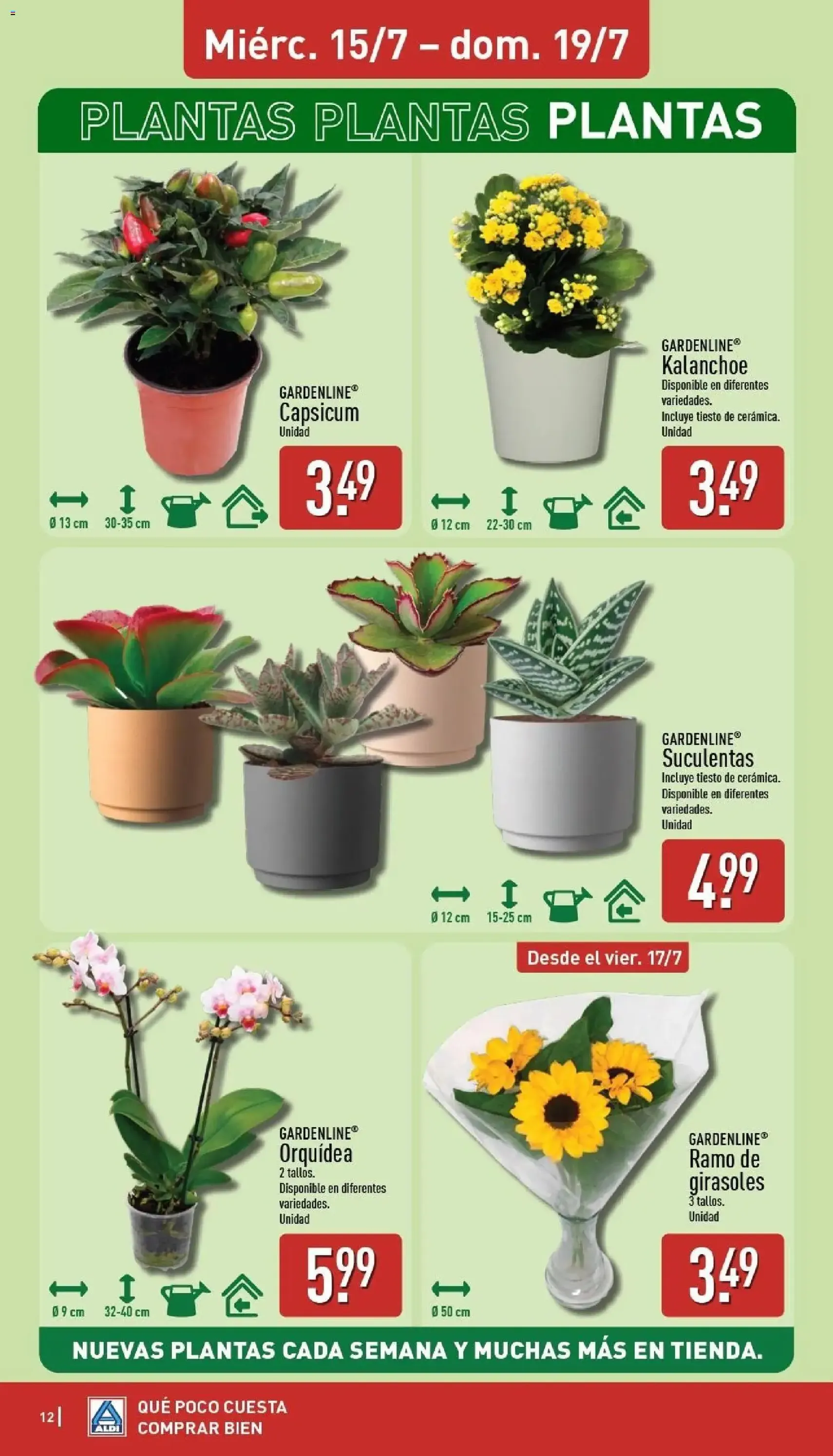 Aldi folleto Península - folleto válido desde 13/07/2026 página 12 de 30