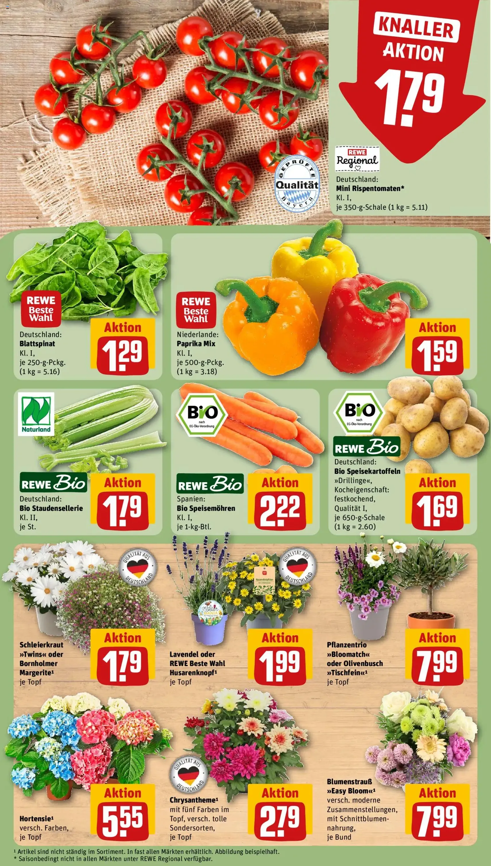 Rewe DE - DE Folder - geldige folder vanaf 15-06-2026 pagina 11 van 24