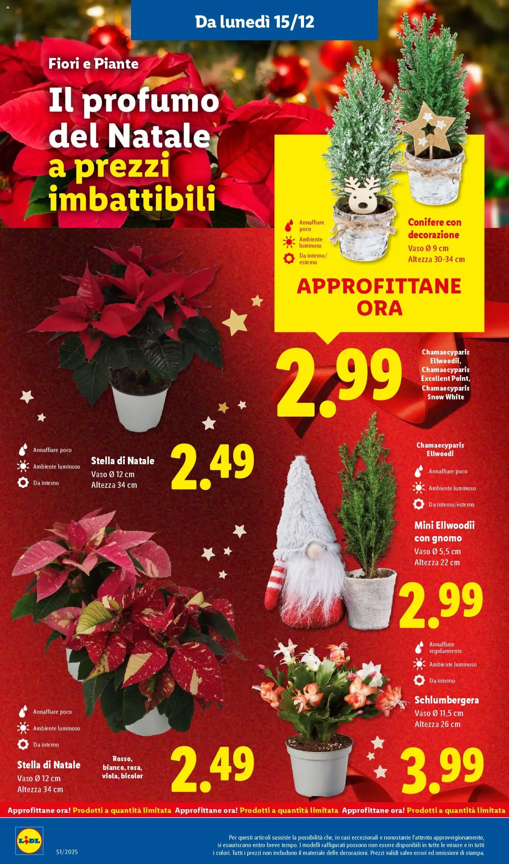 Volantino Lidl - volantino valido dal 15/12/2025 pagina 32 di 60