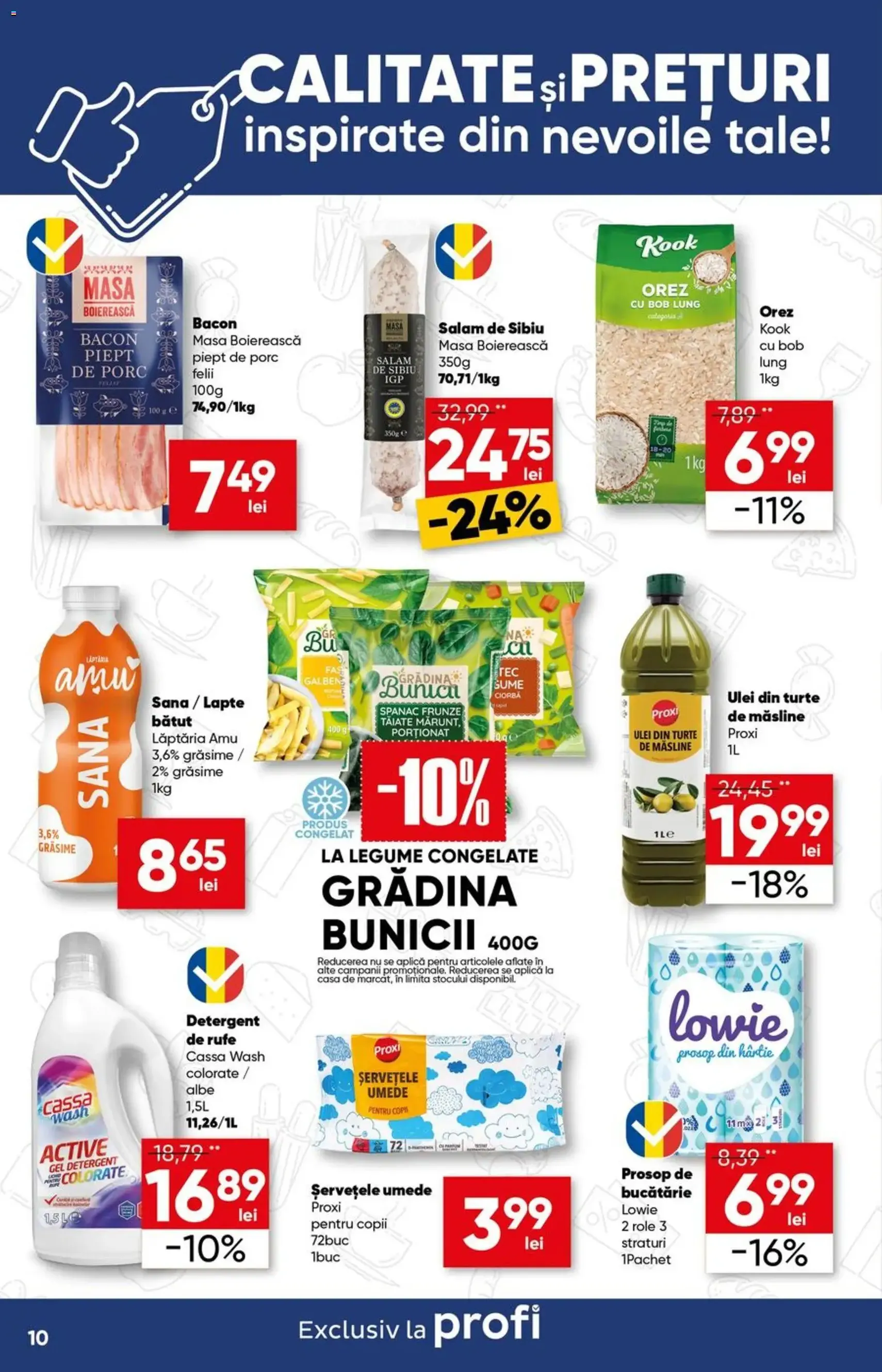 Profi Catalog - cataloage valabile începând cu 24.06.2026 pagina 10 din 17