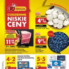 Biedronka gazetka - podgląd gazetki ważnej od 28.07.2025