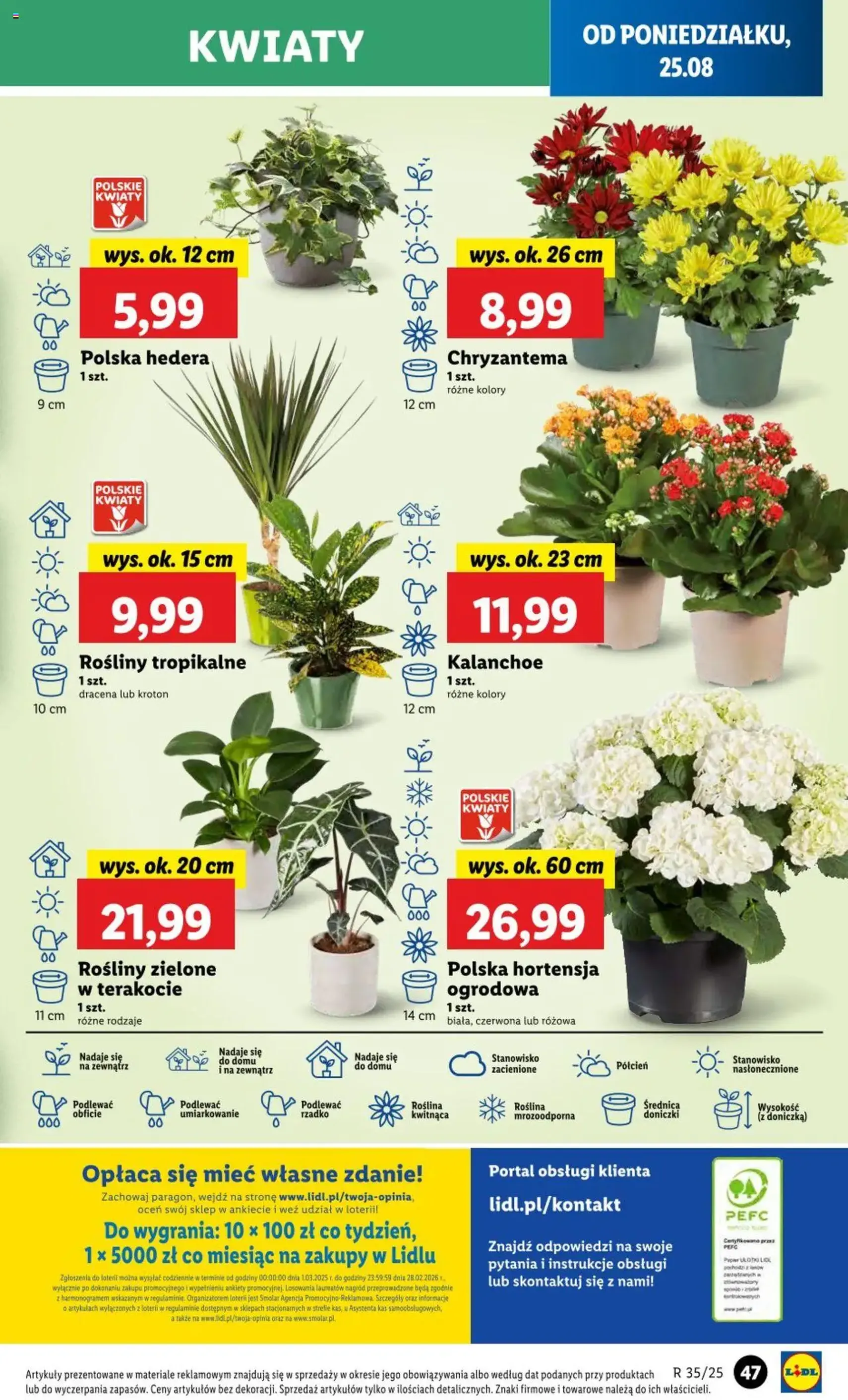 Lidl Gazetka - ważny gazetka od 25.08.2025 strona 53 z 68 Lidl Gazetka - ważny gazetka od 25.08.2025 strona 53 z 68