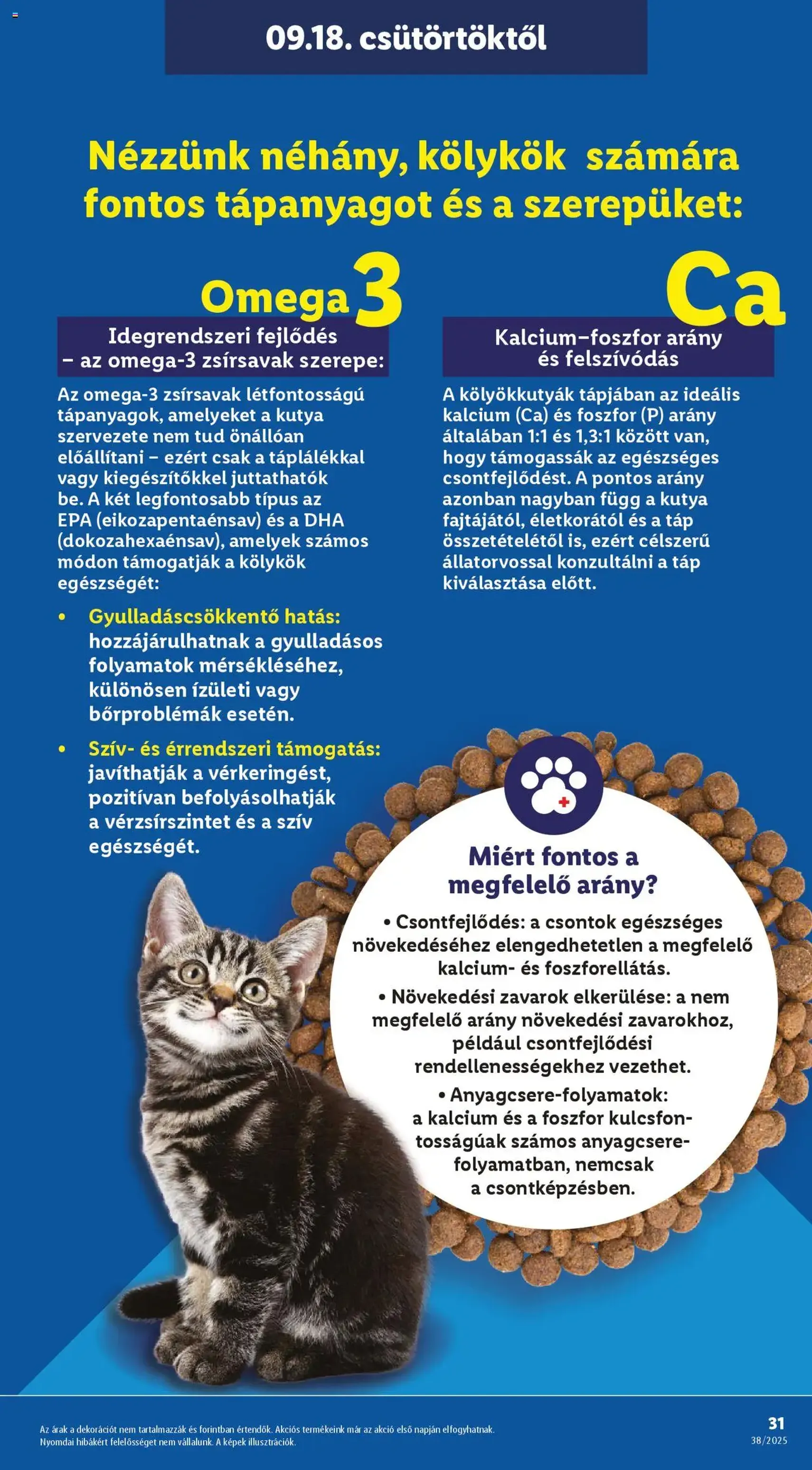 Lidl Akciós újság - 2025.09.18. érvényes szórólap 31 oldal 74 oldalból
