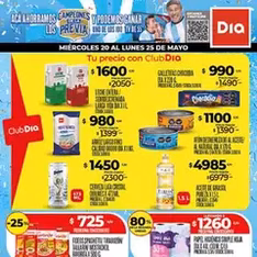 Vista previa del folleto Supermercado DIA Ofertas válido desde 20/05/2026