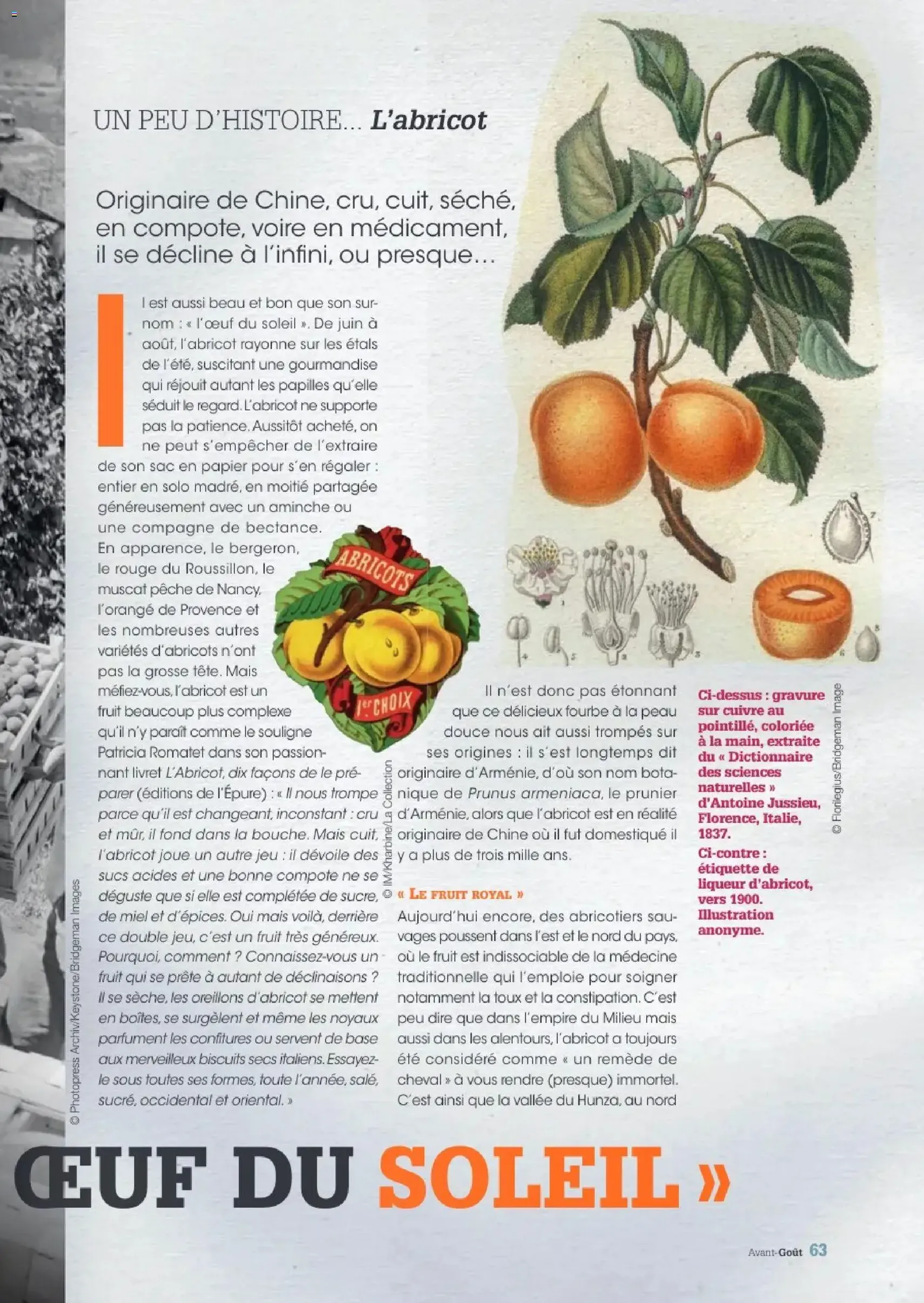 Grand Frais - Eté 2026 - brochure valable à partir du 30/09/2026, page 63 sur 68
